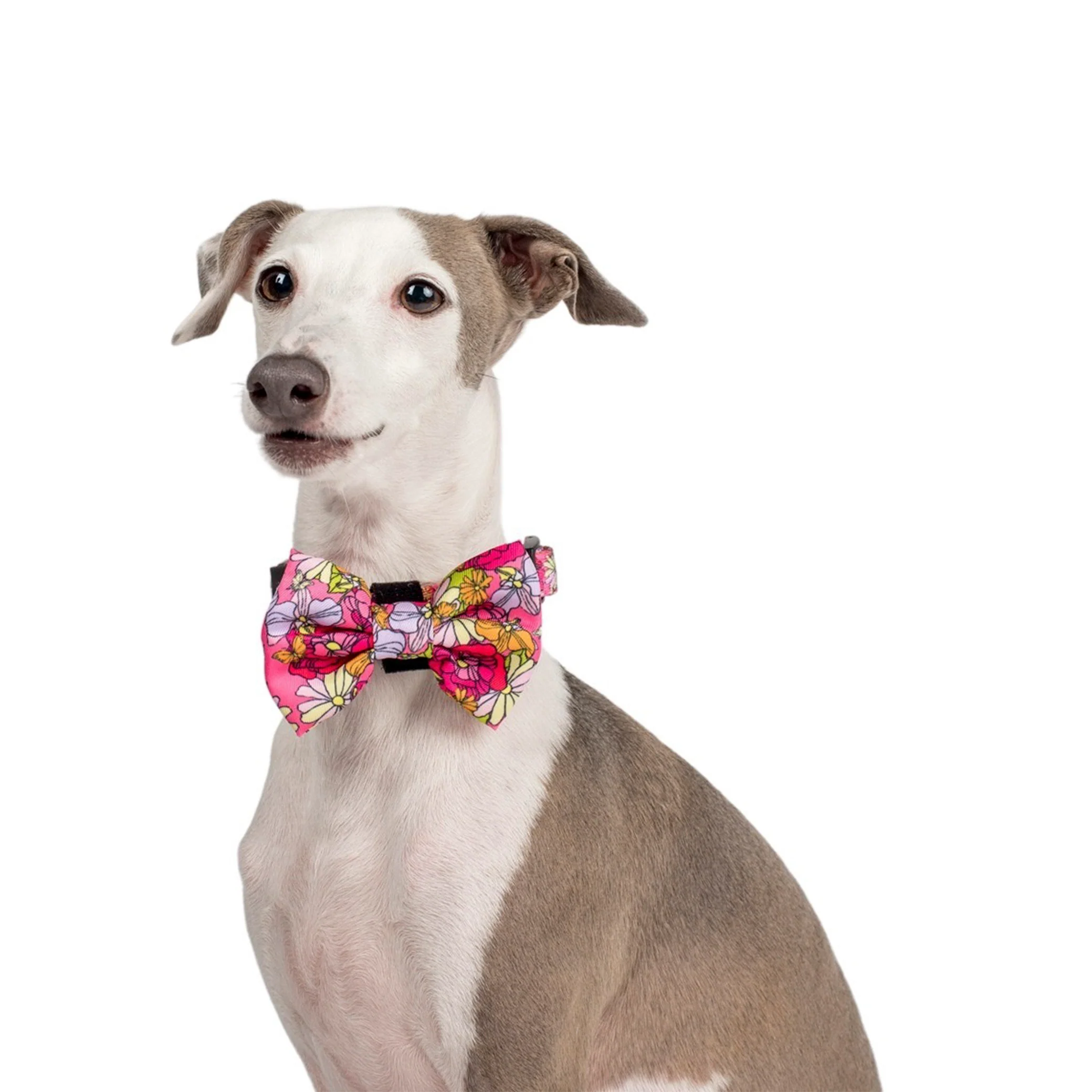 In Bloom: Bow Tie - Image 4