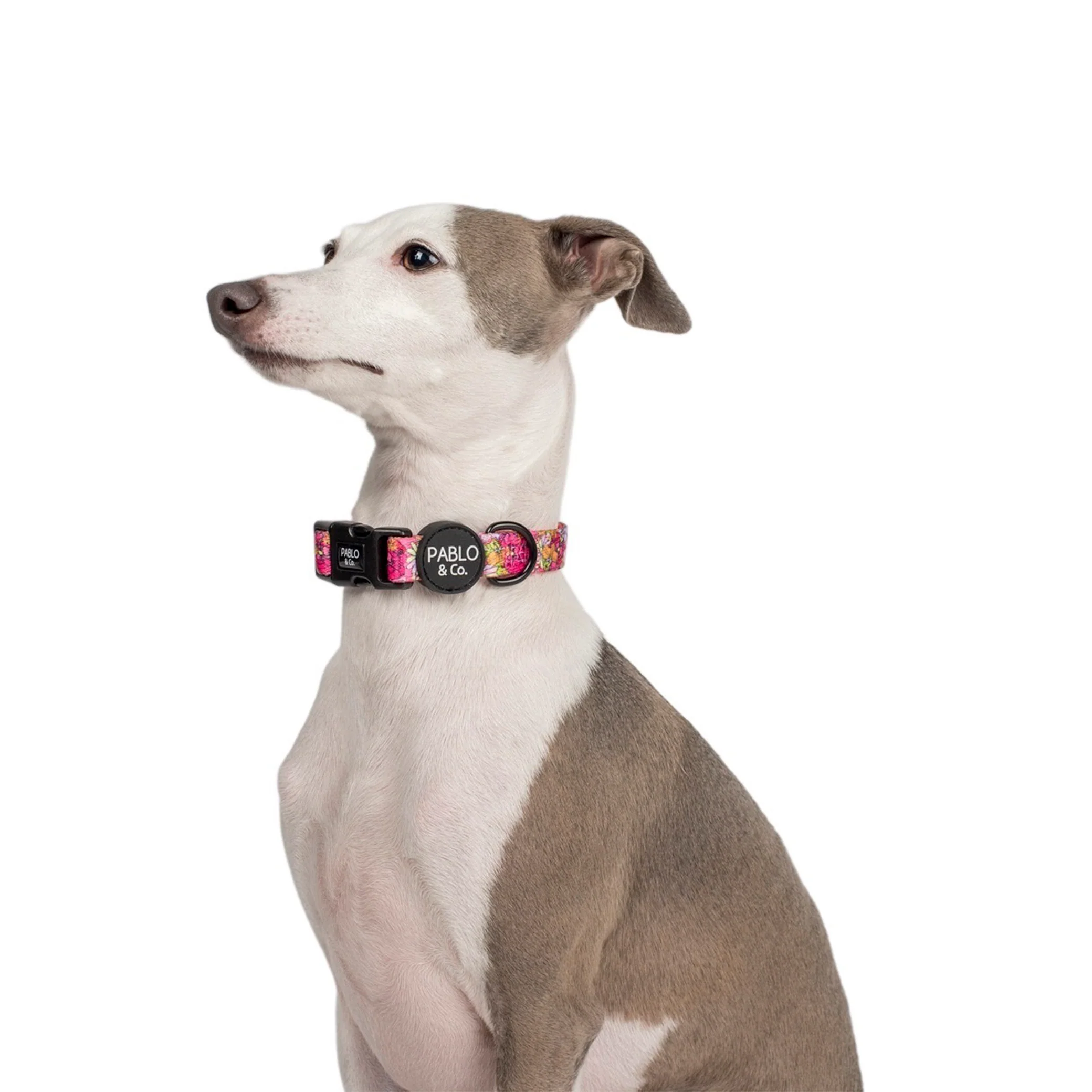 In Bloom: Collar