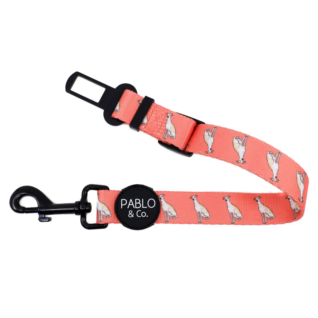 Italian Greyhound: Adjustable Car Restraint