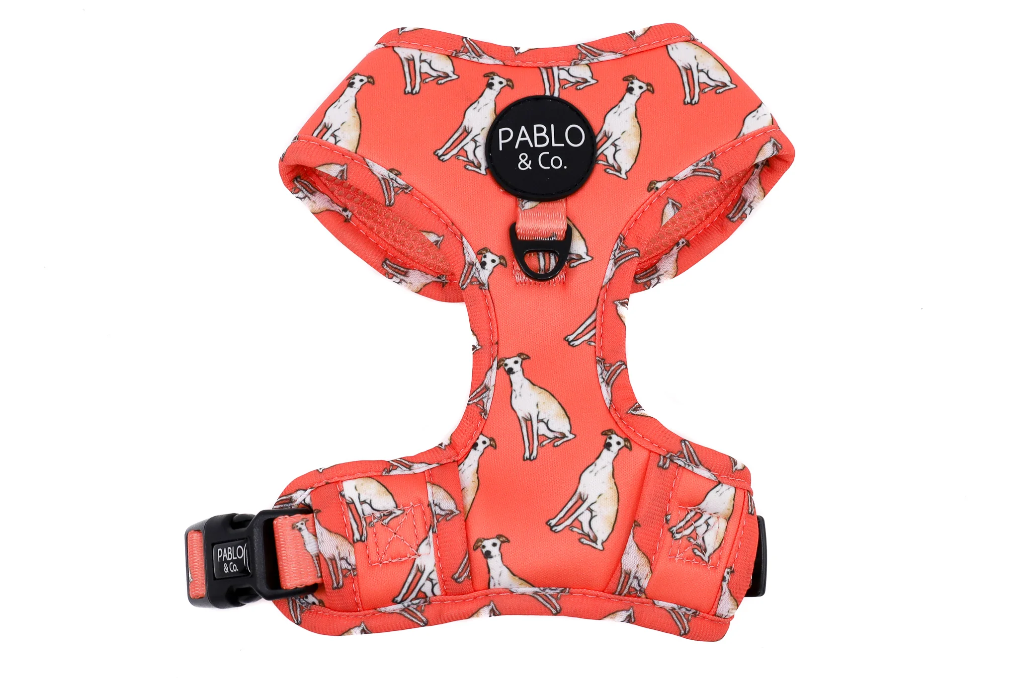 Italian Greyhound: Adjustable Harness - Image 7