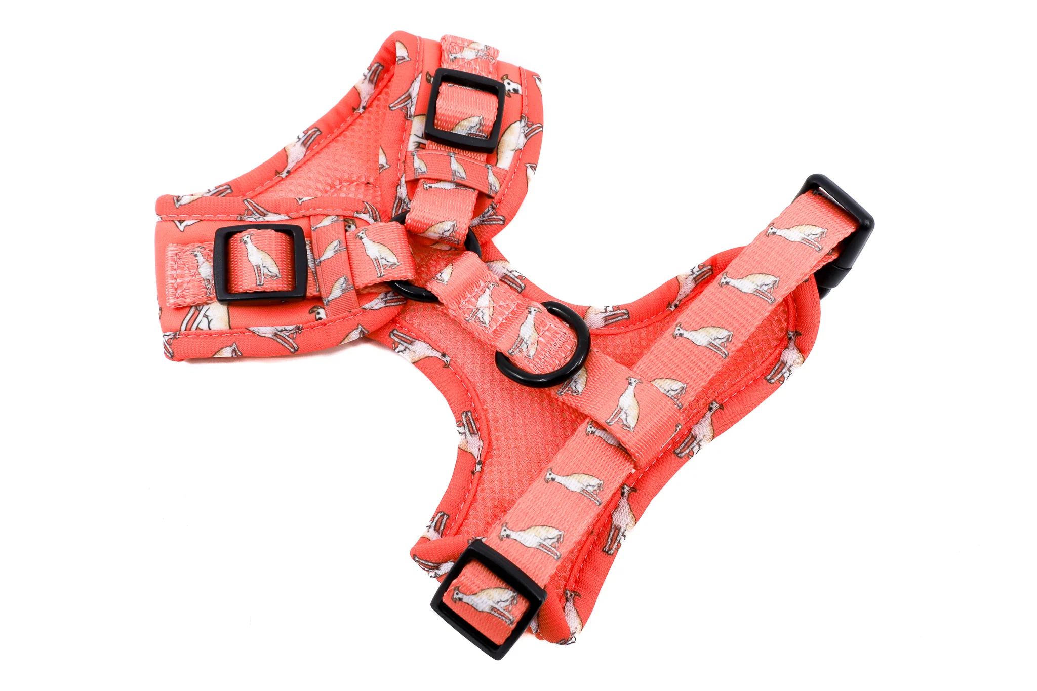 Italian Greyhound: Adjustable Harness - Image 8