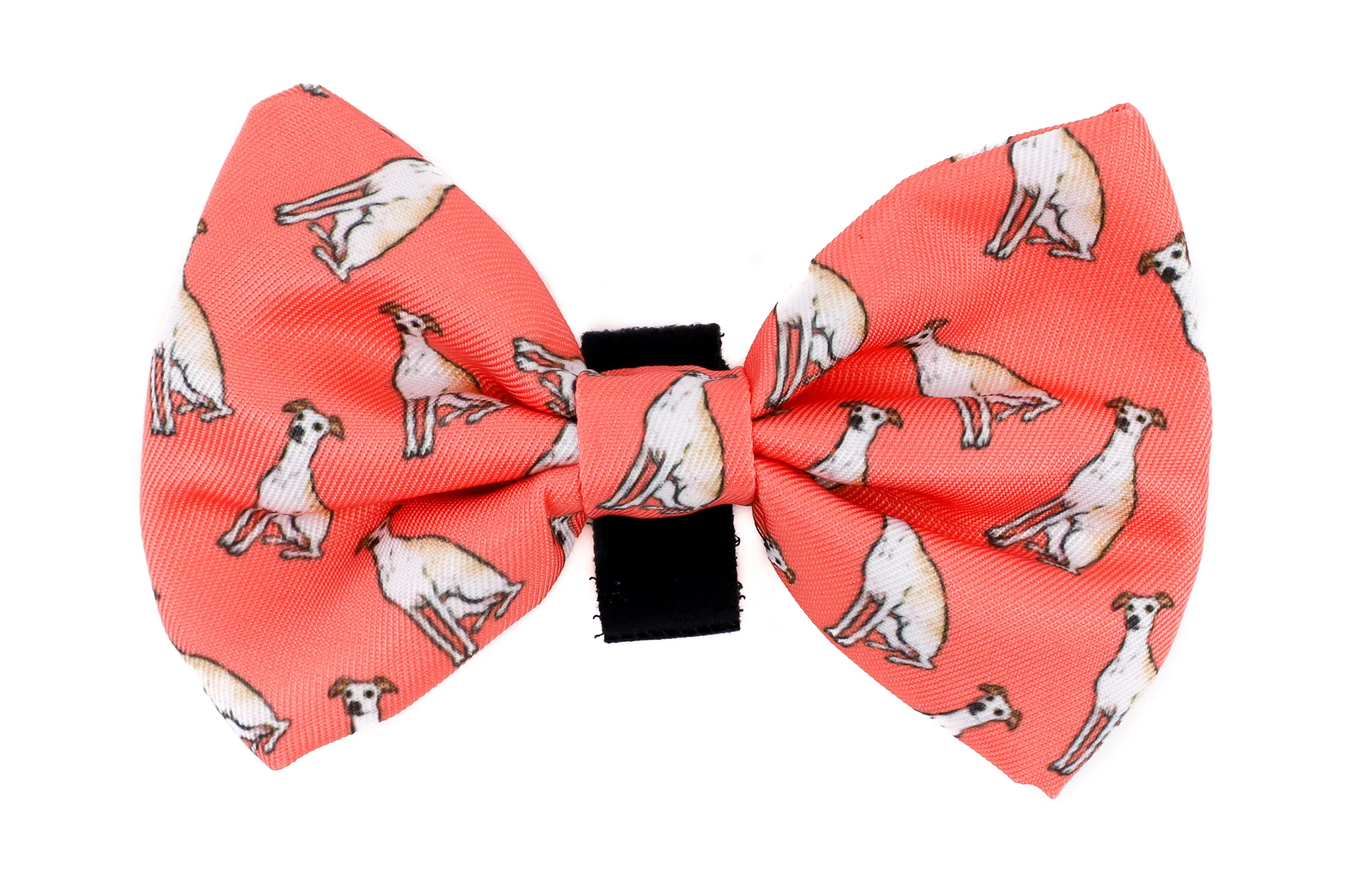 Italian Greyhound: Bow Tie - Image 5