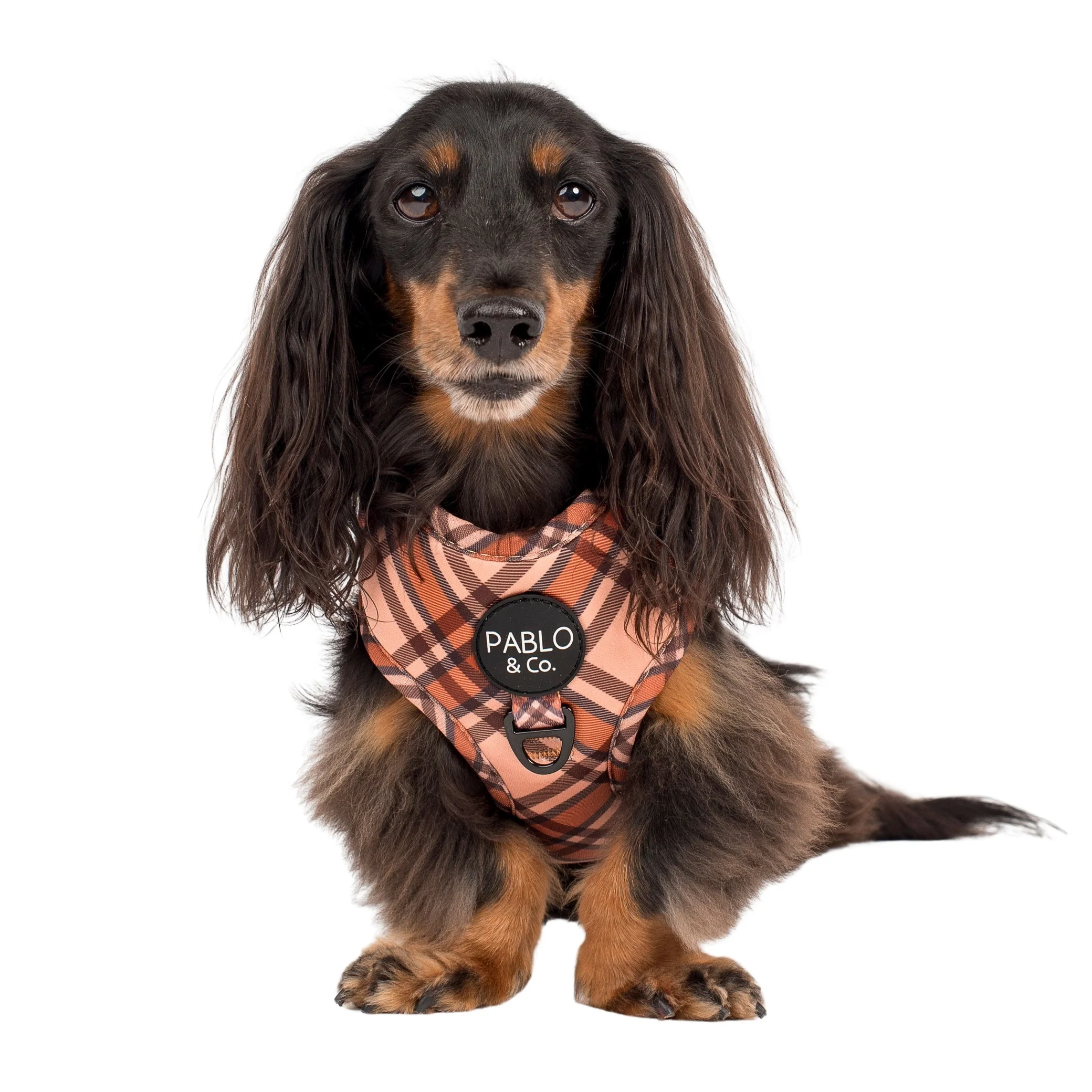 Kensington: Adjustable Harness - Image 6