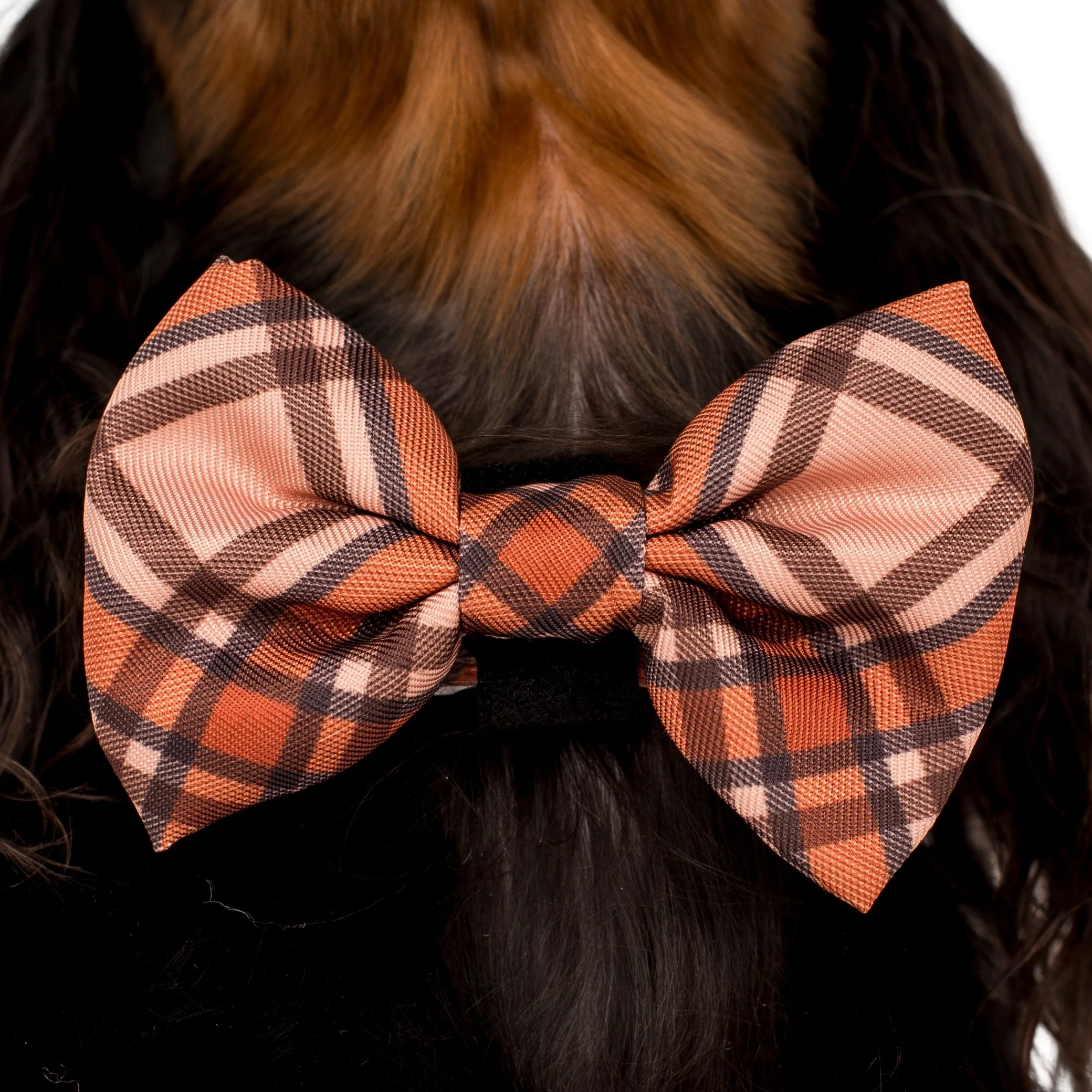 Kensington: Bow Tie - Image 2