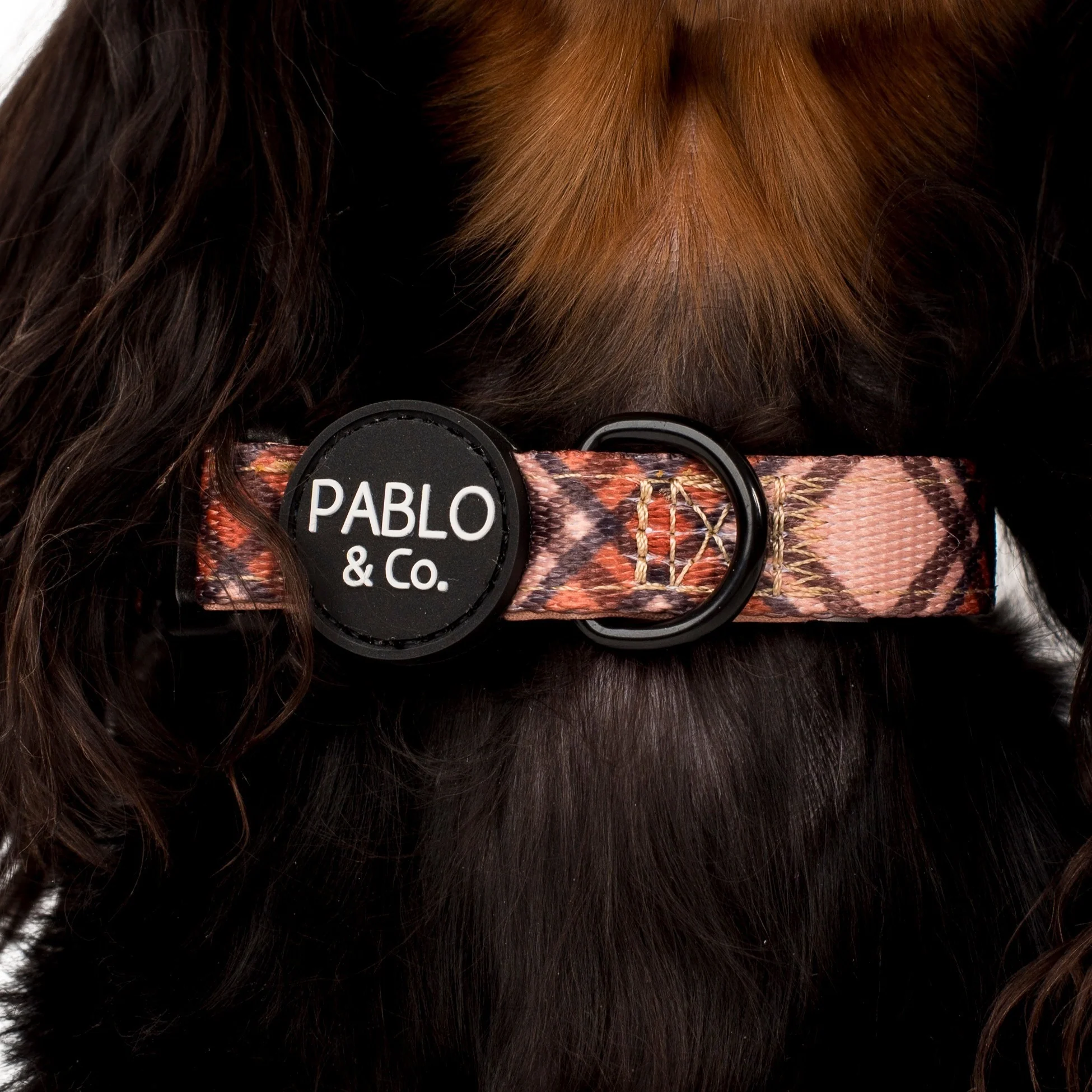 Kensington: Collar - Image 3