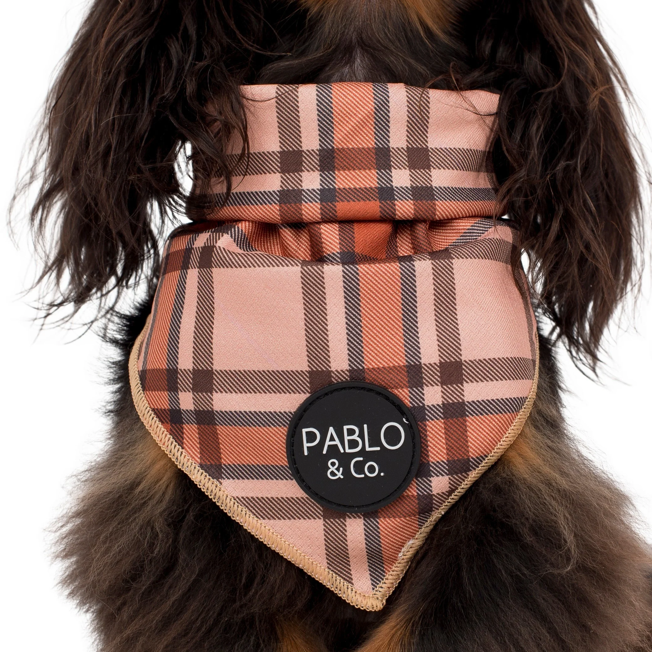 Kensington - Dog Bandana - Image 2