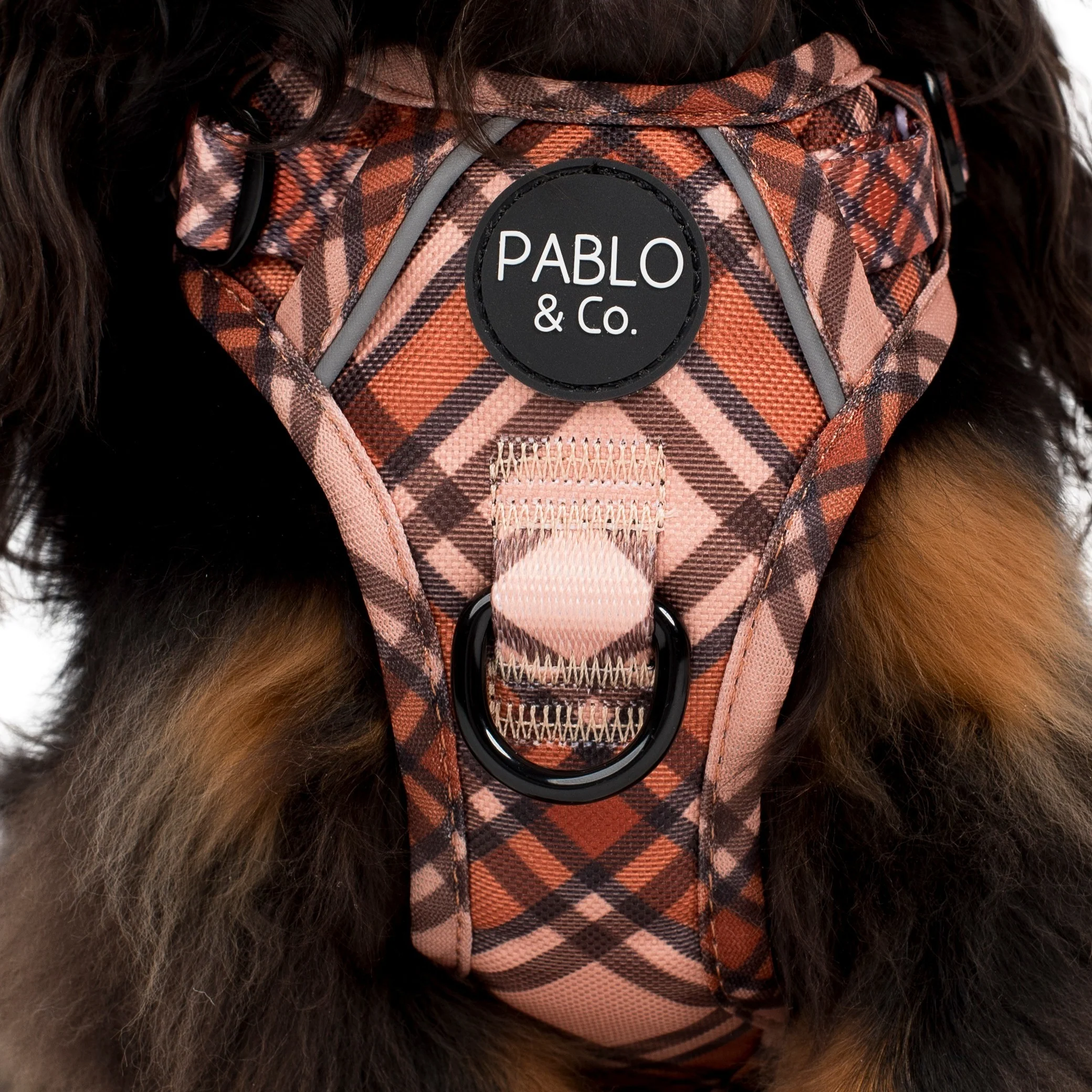 Kensington: No Pull Adventure Harness - Image 7