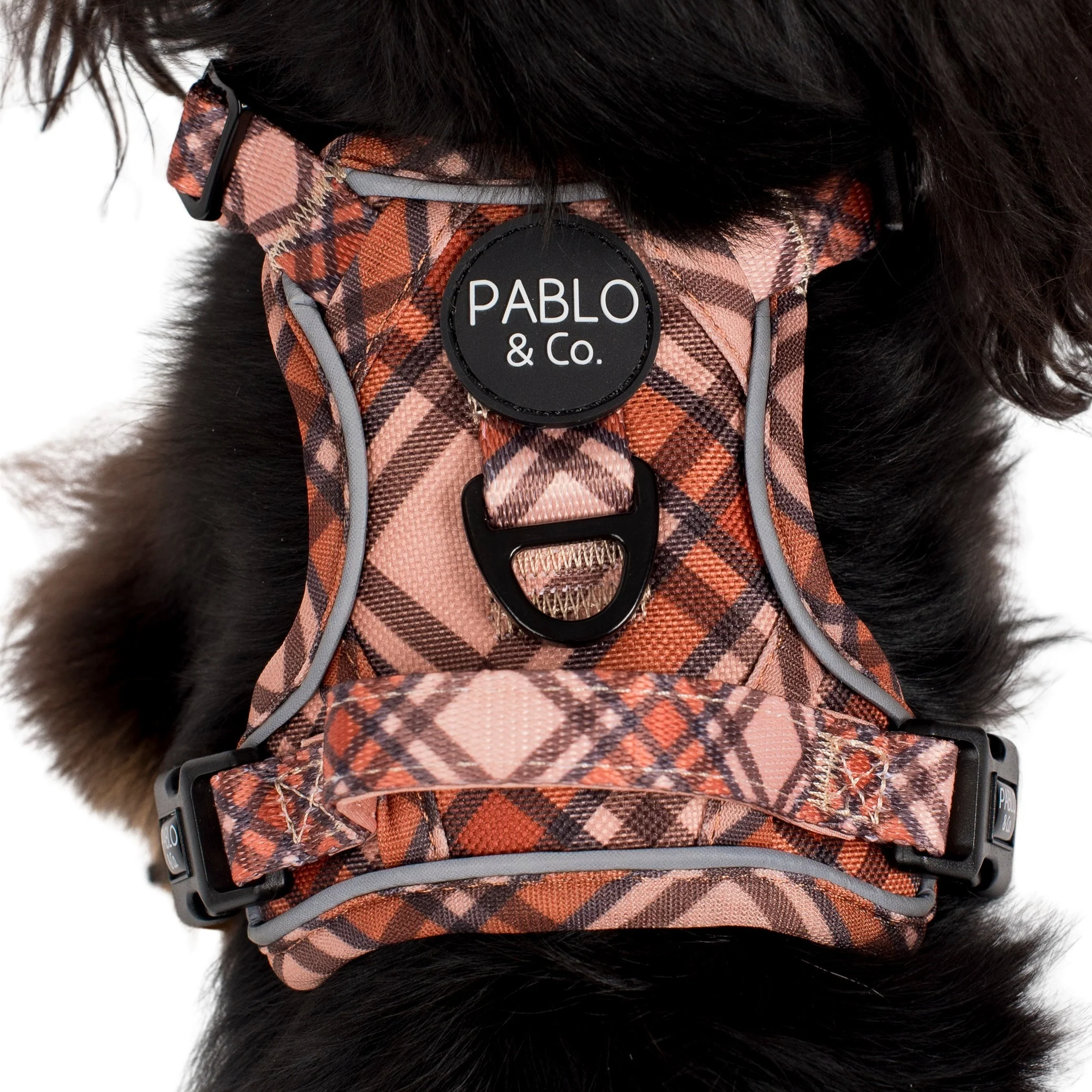Kensington: No Pull Adventure Harness - Image 8