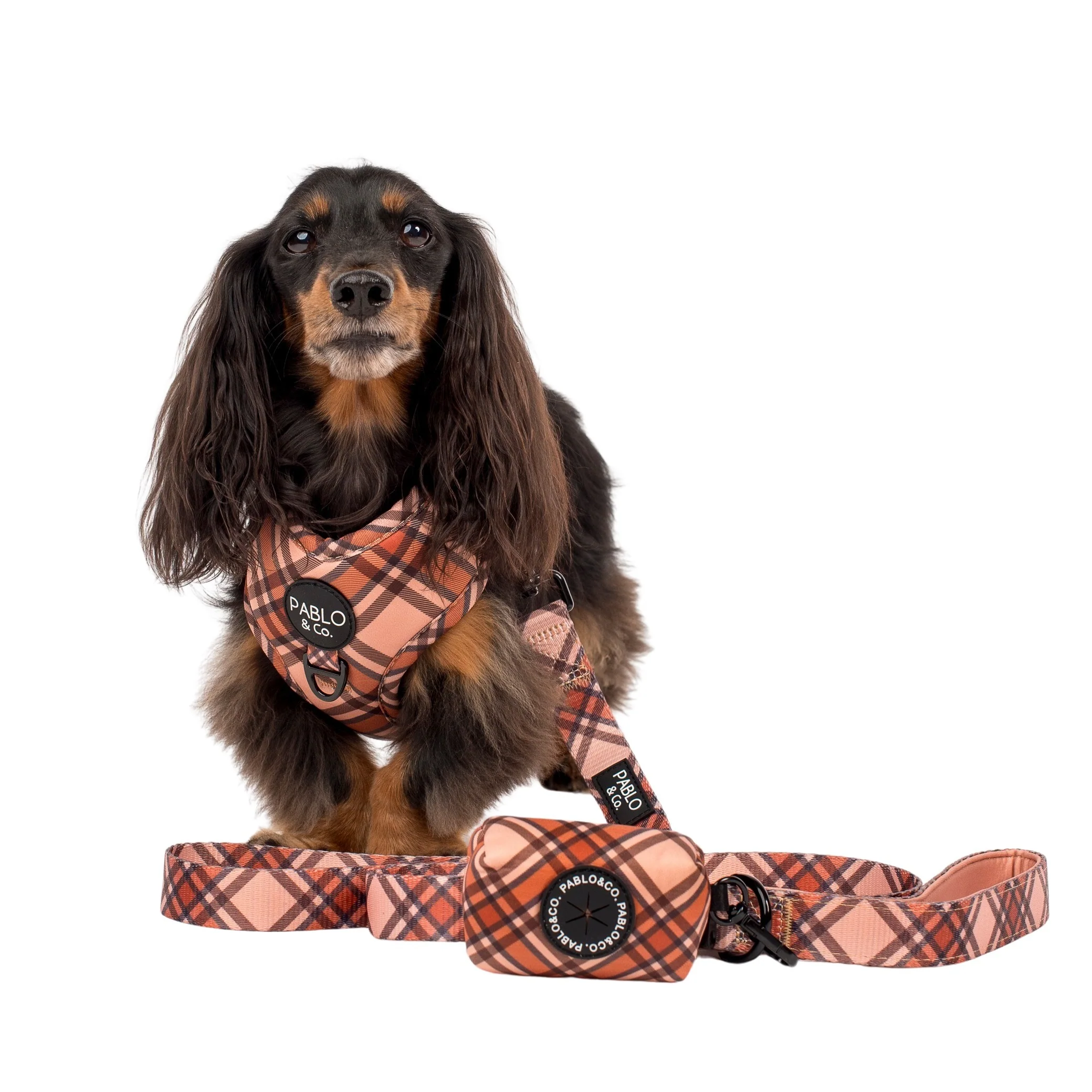 Kensington - Poop Bag Holder - Image 3