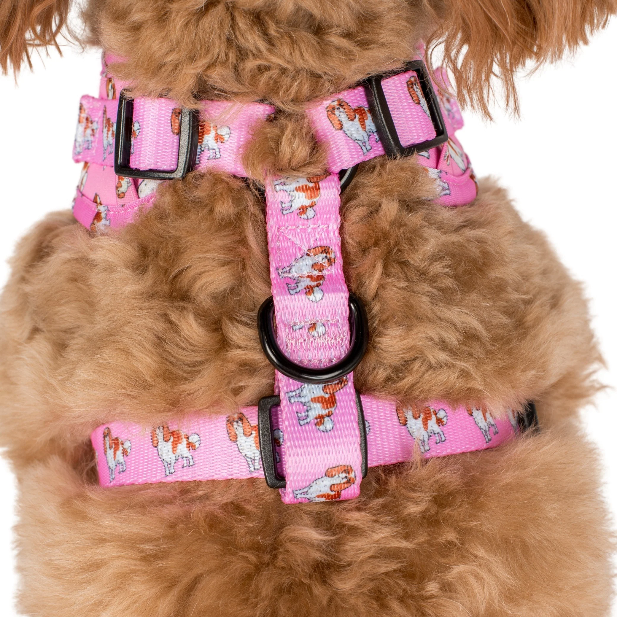 Cavalier King Charles: Adjustable Harness - Image 6