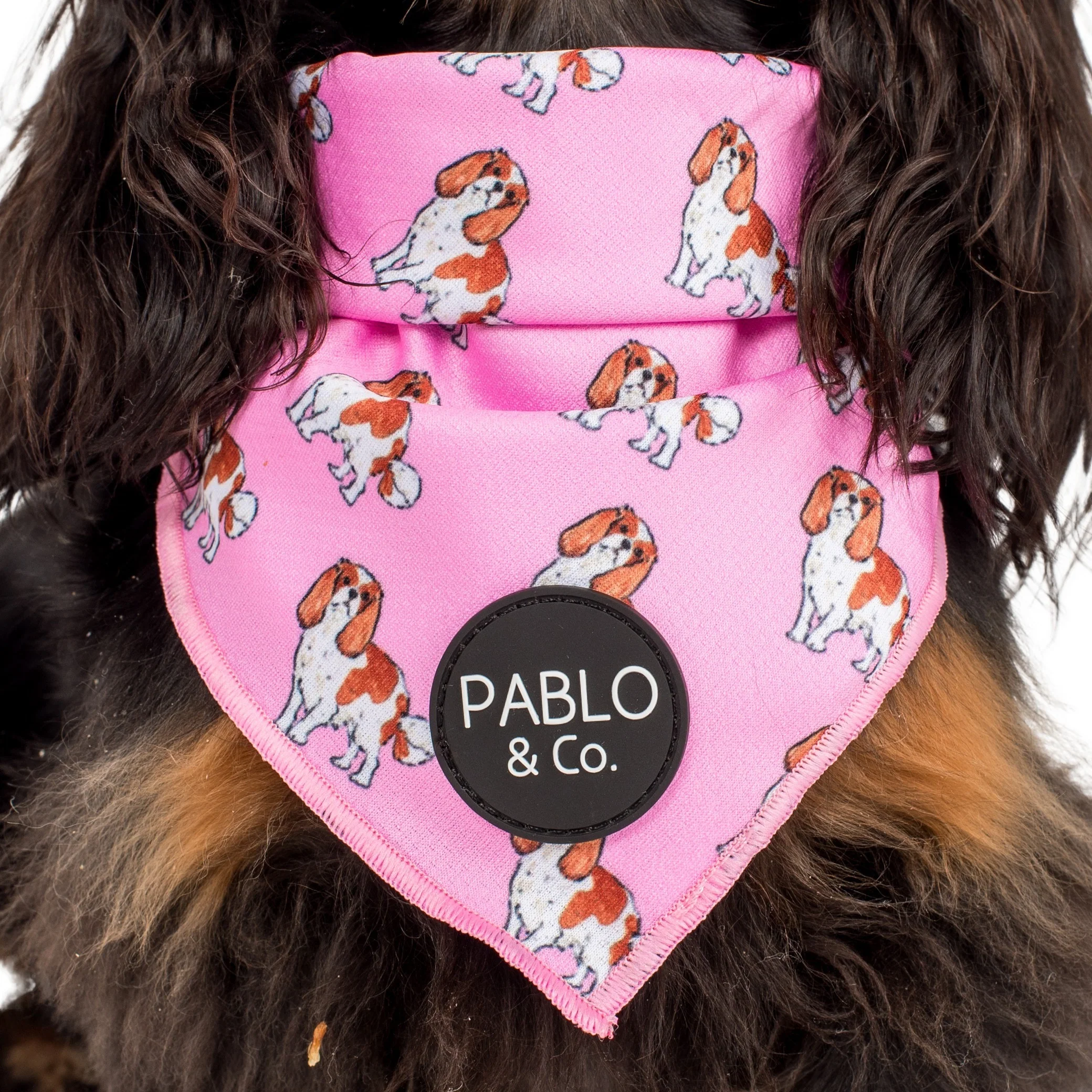 Cavalier King Charles - Dog Bandana - Image 2
