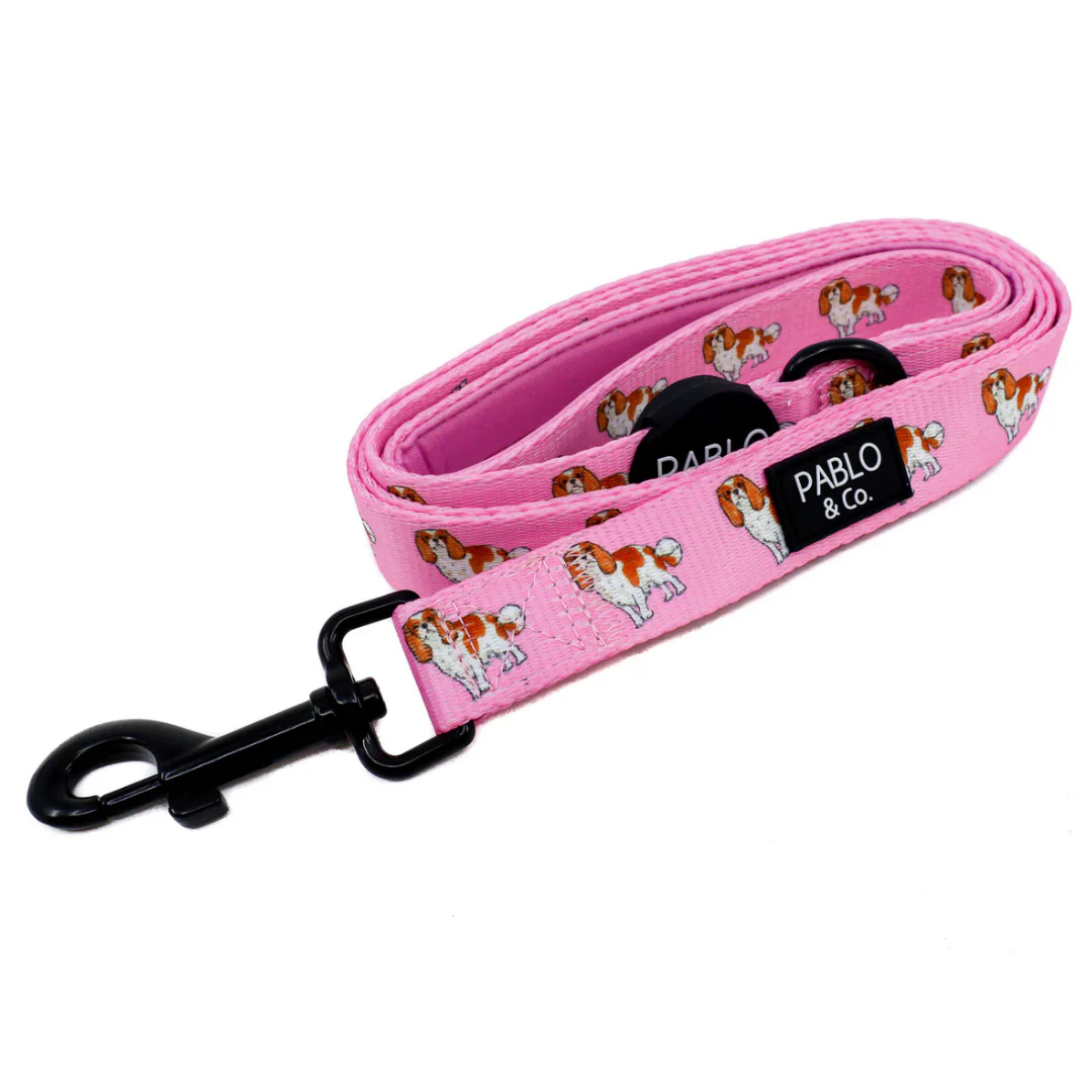 Cavalier King Charles: Dog Leash