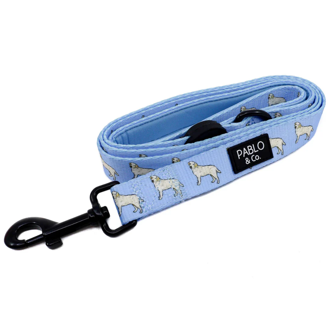 Labrador: Dog Leash