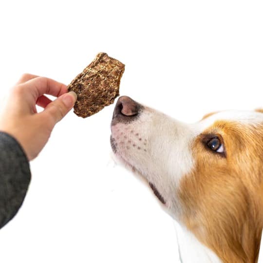 Pet Botanica: Lamb Puffs Dog Treats - Image 5