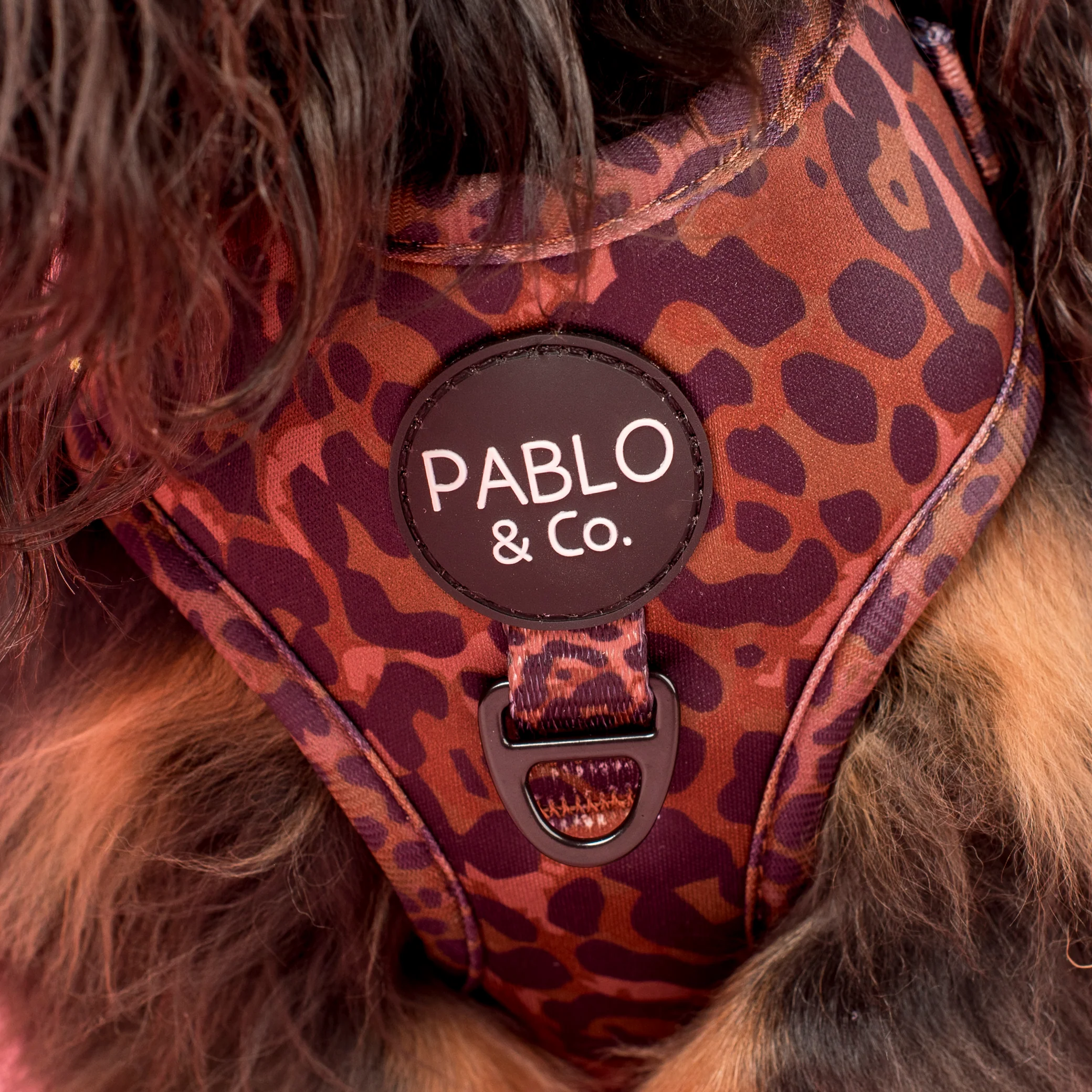 Leopard: Adjustable Harness - Image 2