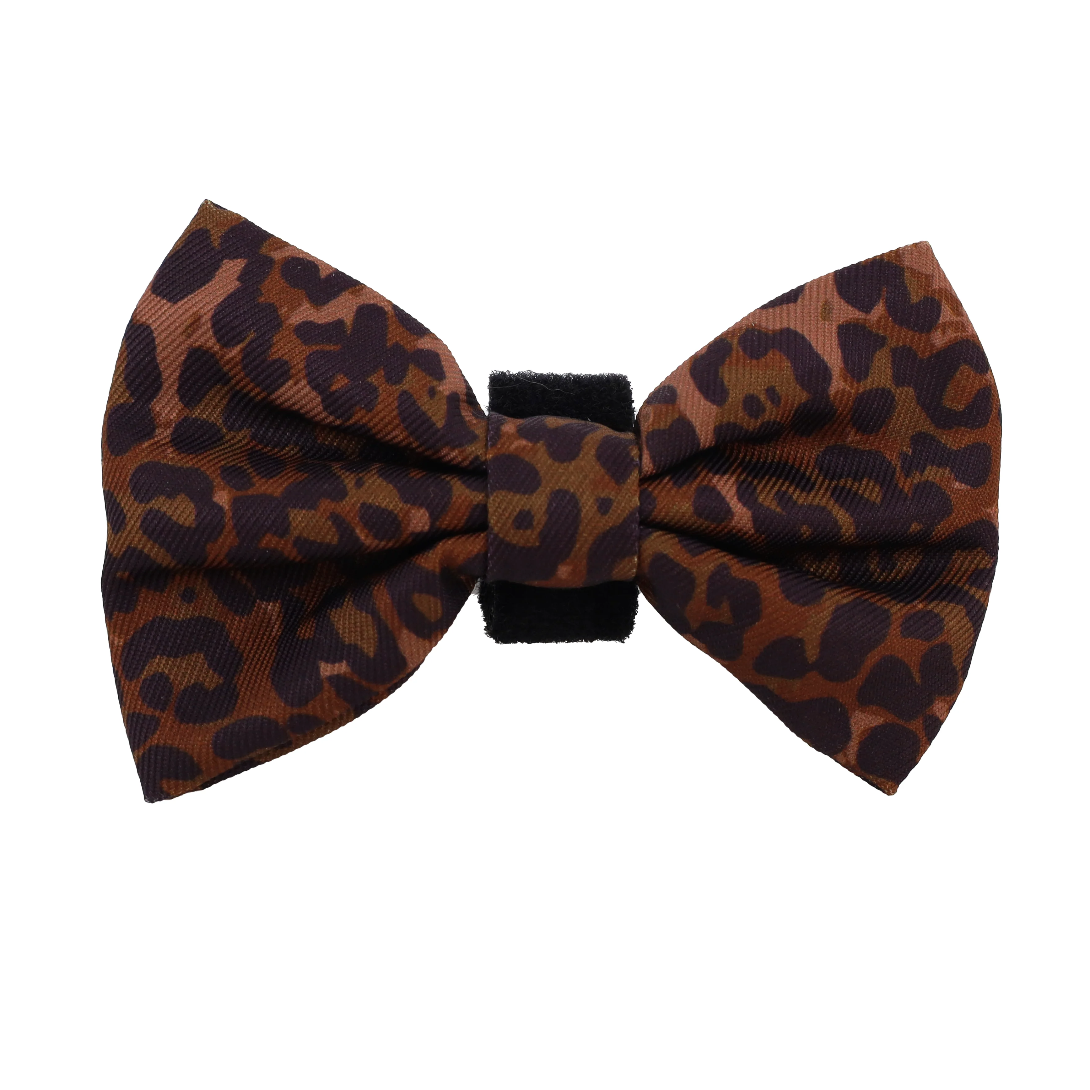 Leopard: Bow Tie - Image 4