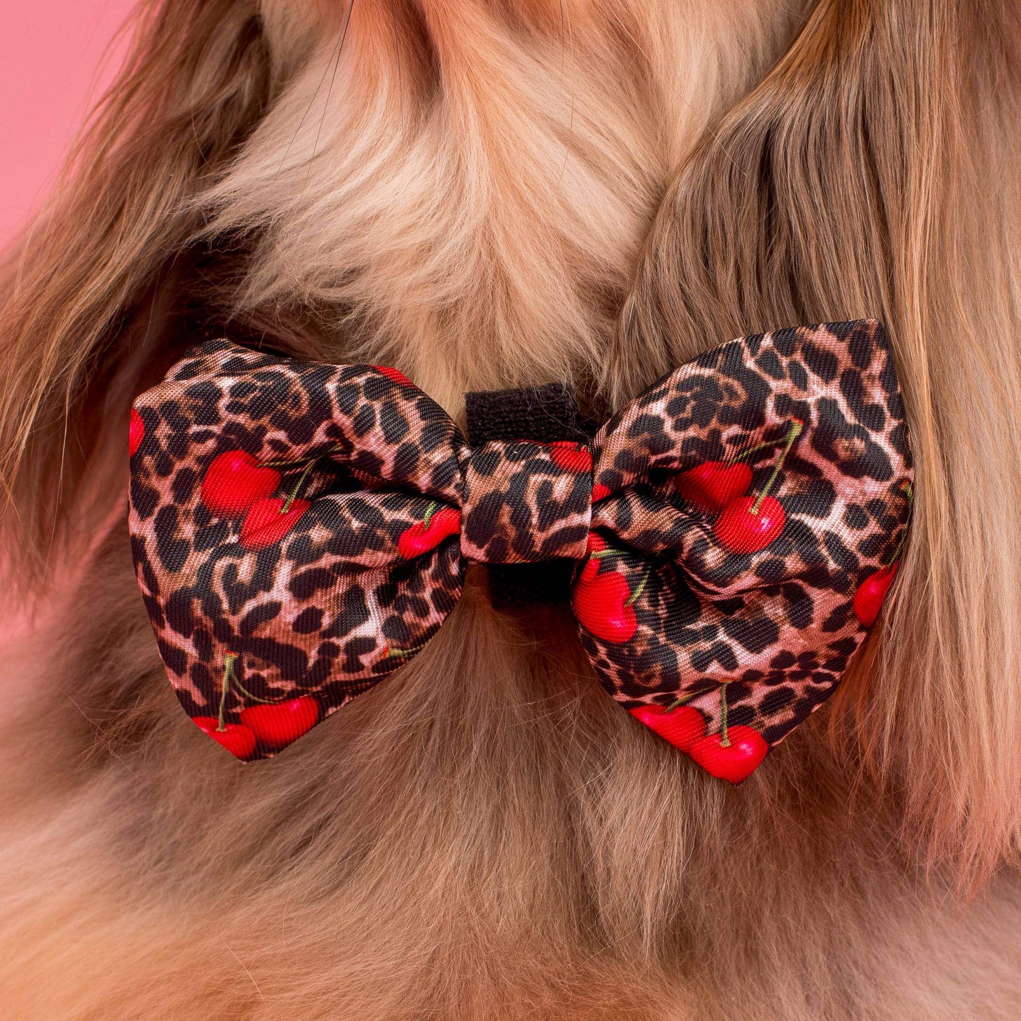 Leopard Cherries: Bow Tie - Image 2