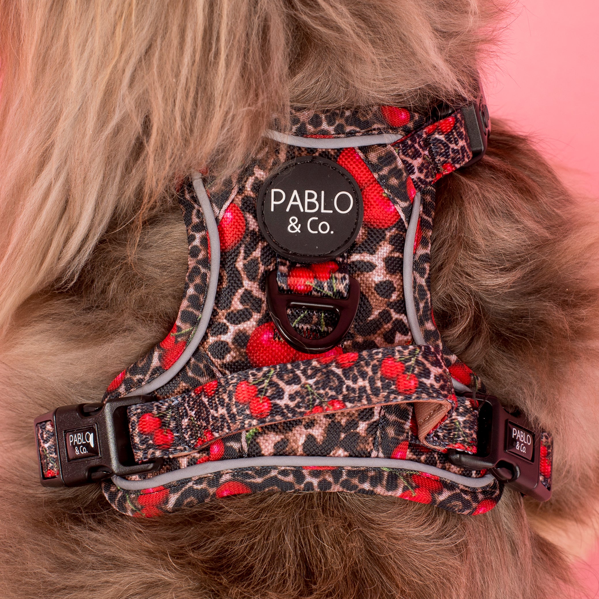 Leopard Cherries: No Pull Adventure Harness - Image 2
