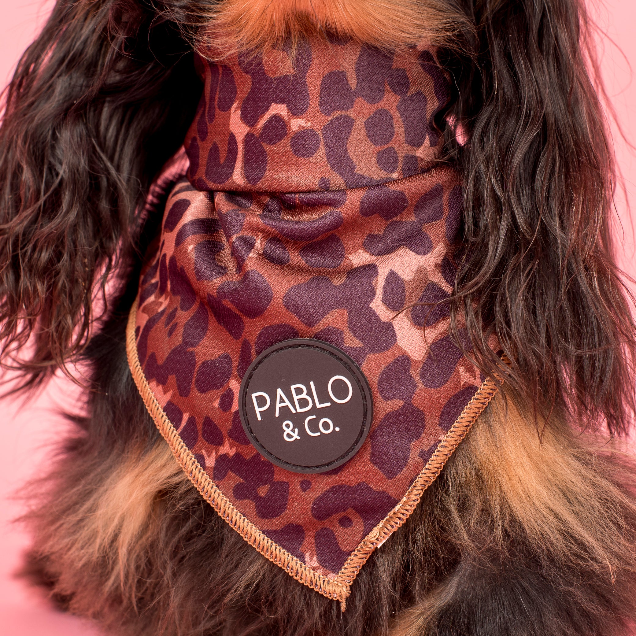 Leopard: Dog Bandana - Image 2
