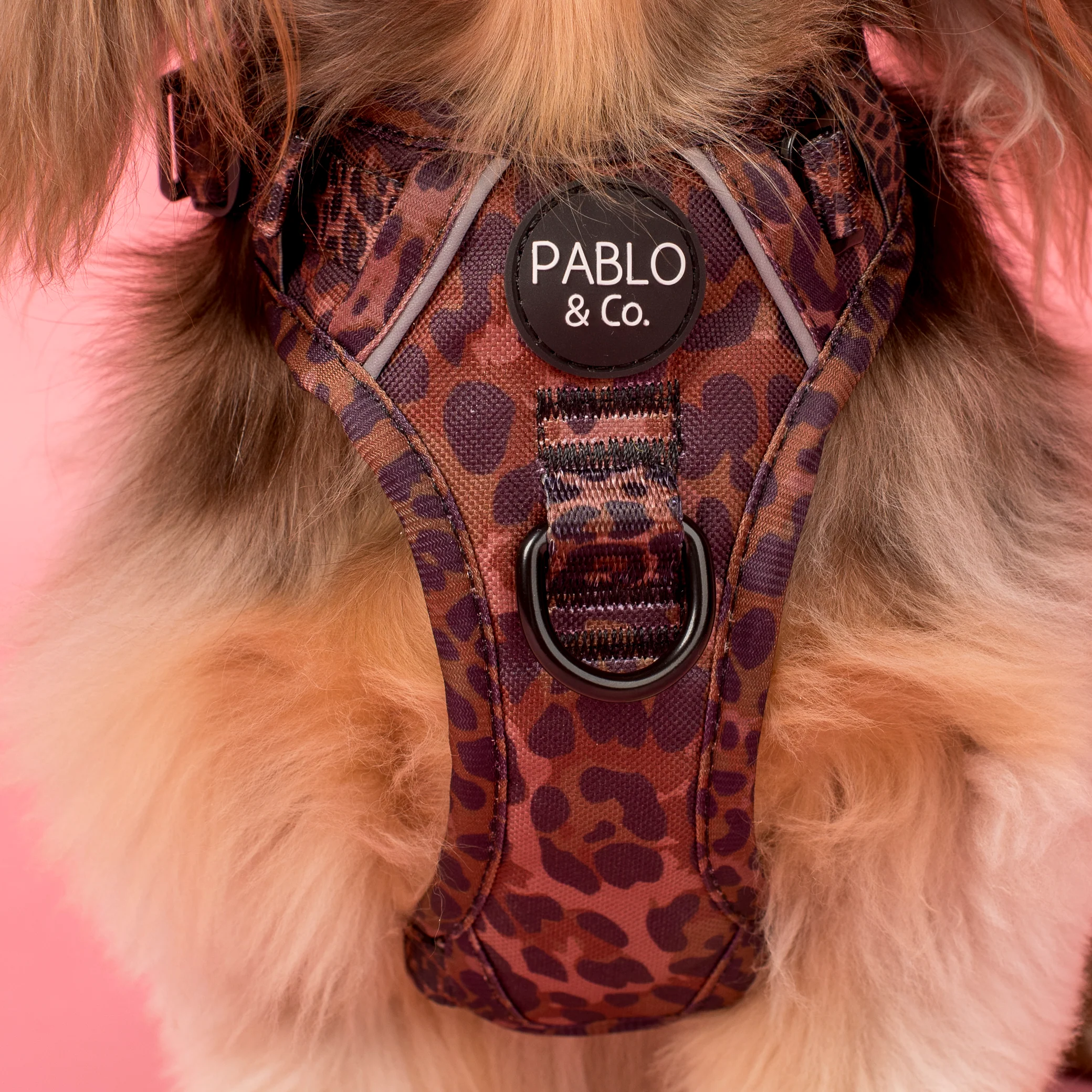 Leopard: No Pull Adventure Harness - Image 2