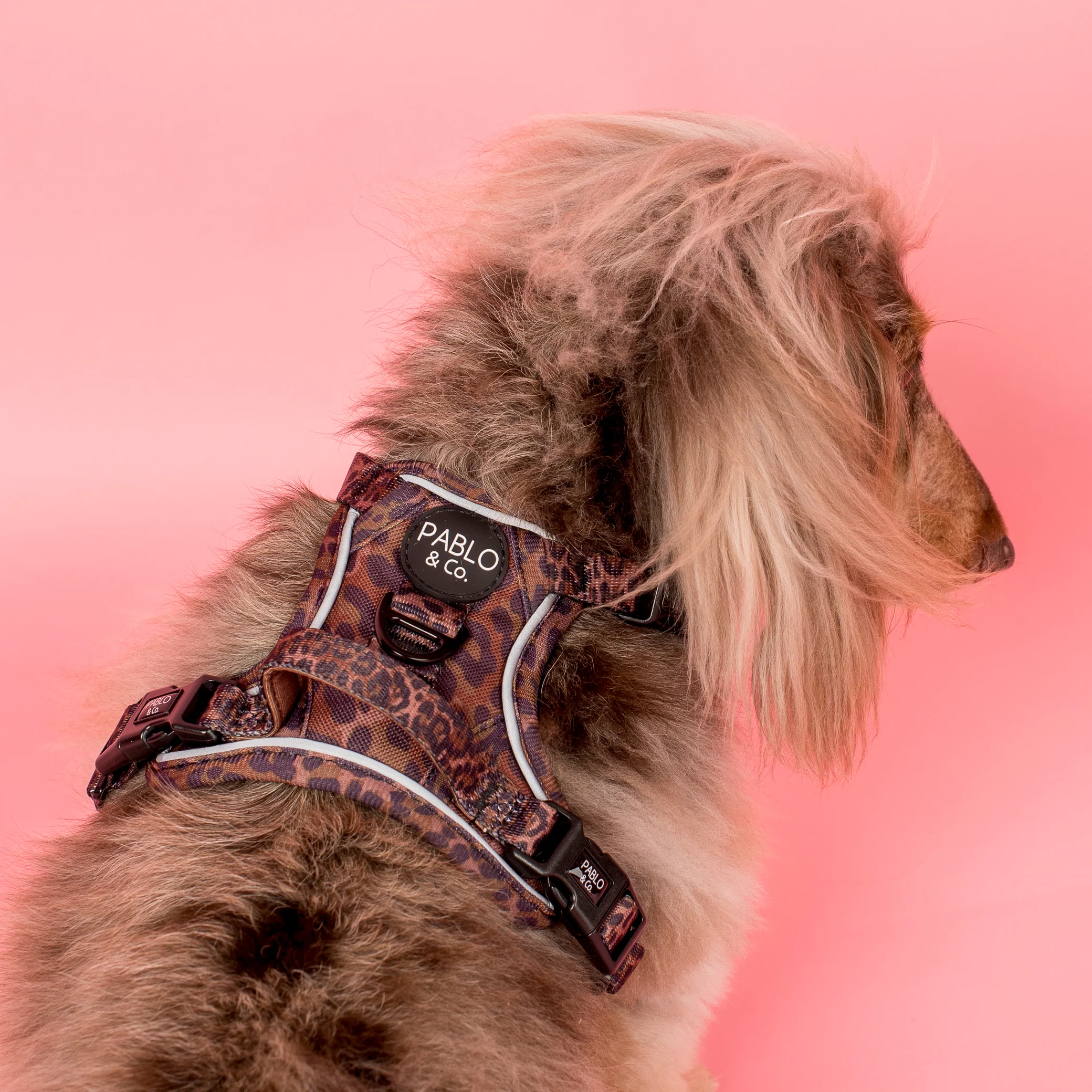 Leopard: No Pull Adventure Harness - Image 3