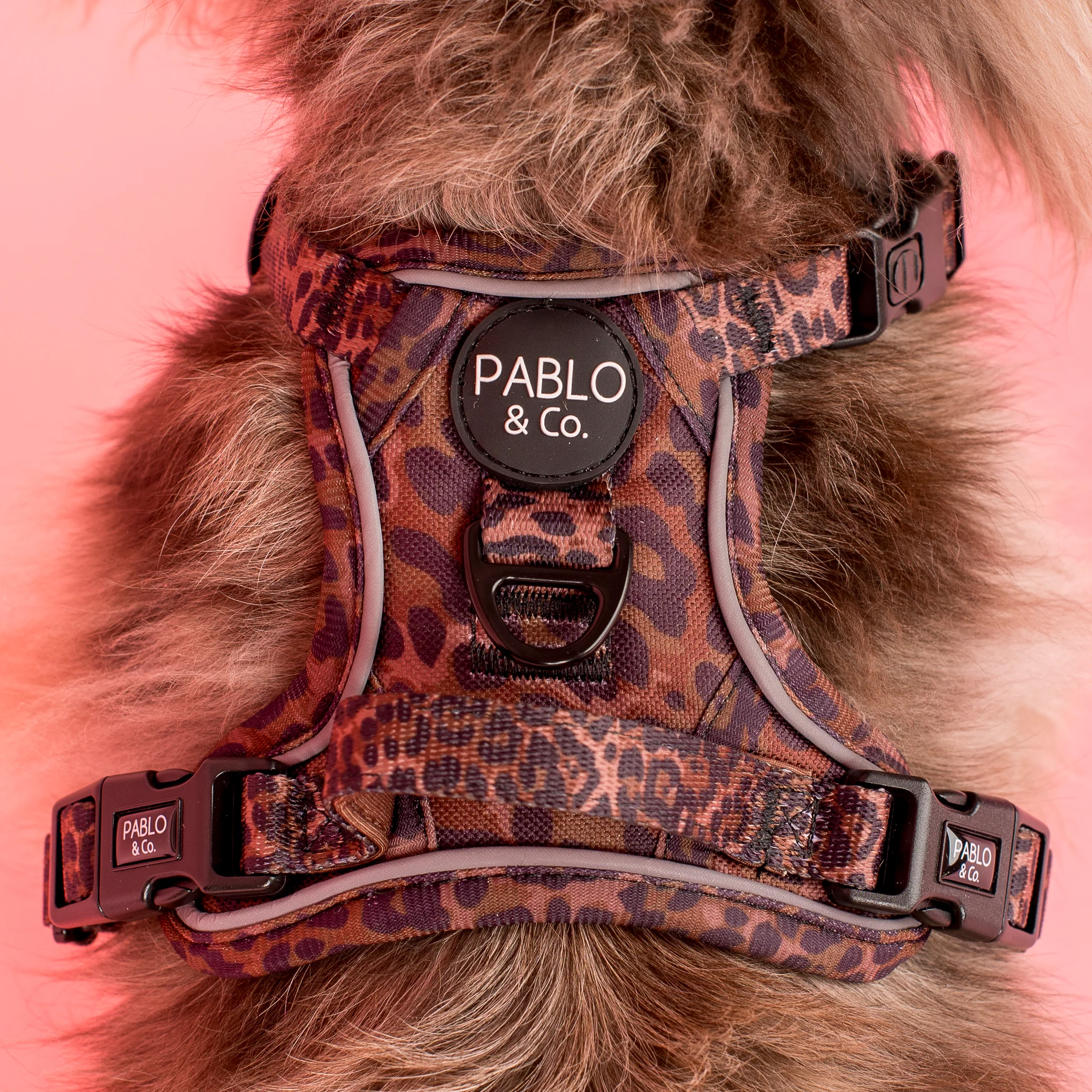 Leopard: No Pull Adventure Harness - Image 4