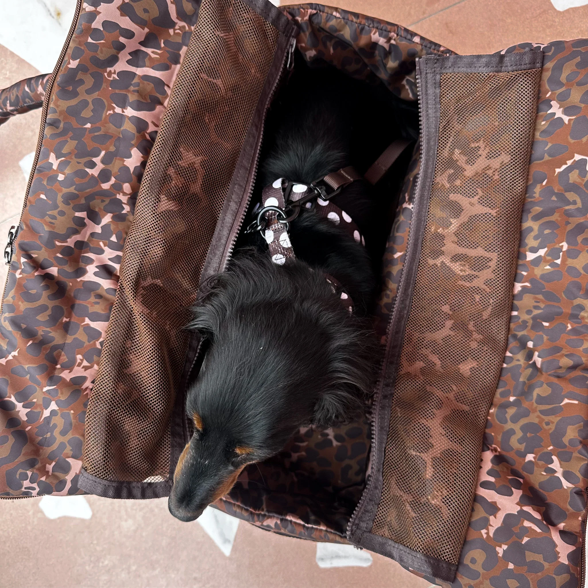 Leopard: Travel Bag - Image 5