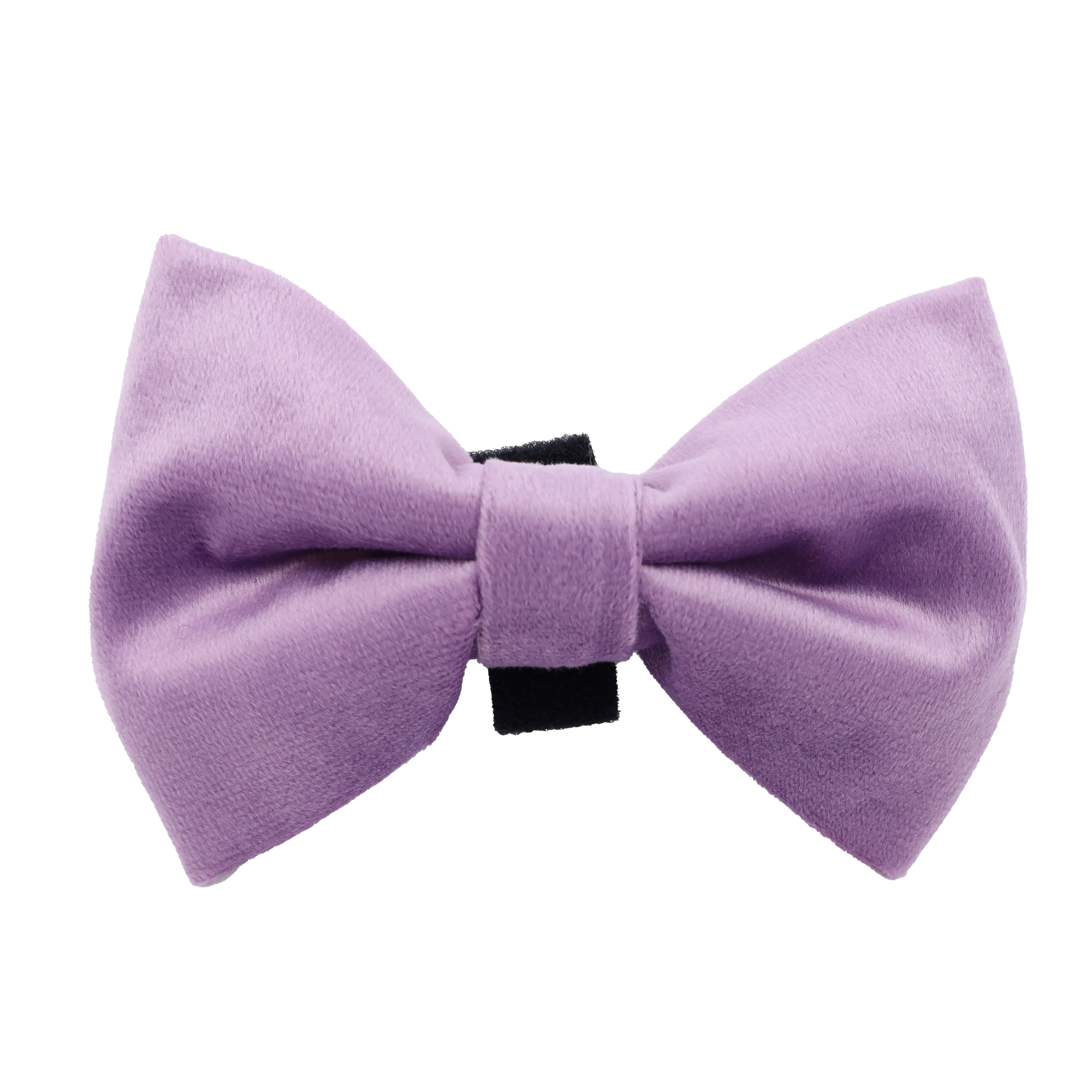 Lilac Velvet Bow Tie