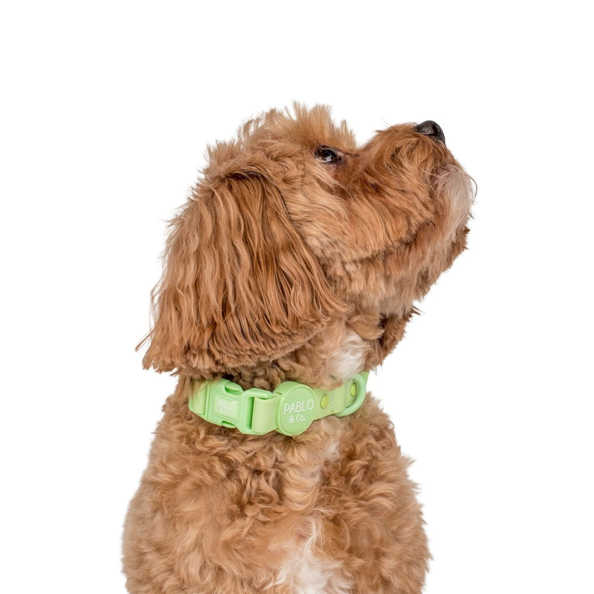 Lime: Waterproof Collar - Image 2