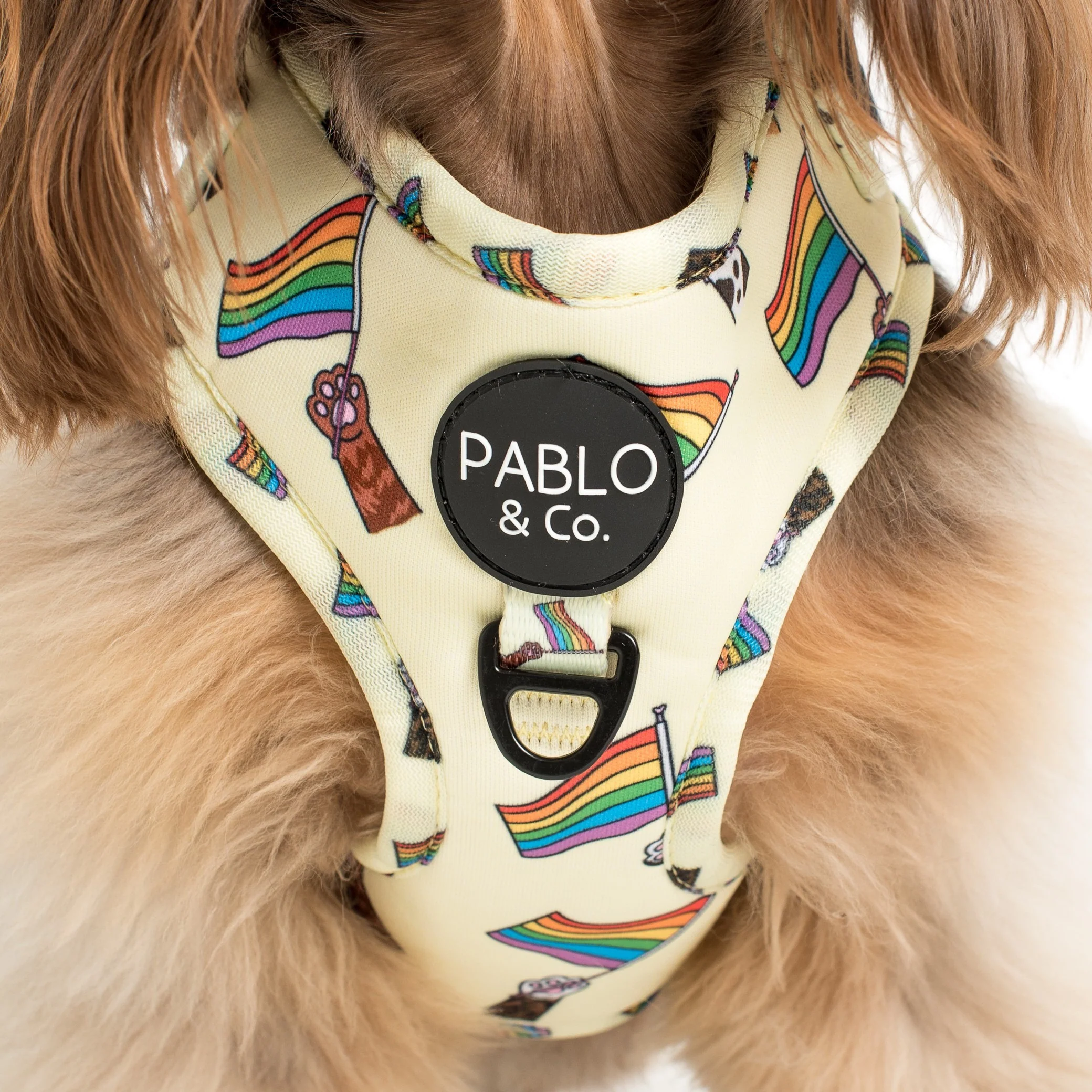 Love is Love: Adjustable Harness