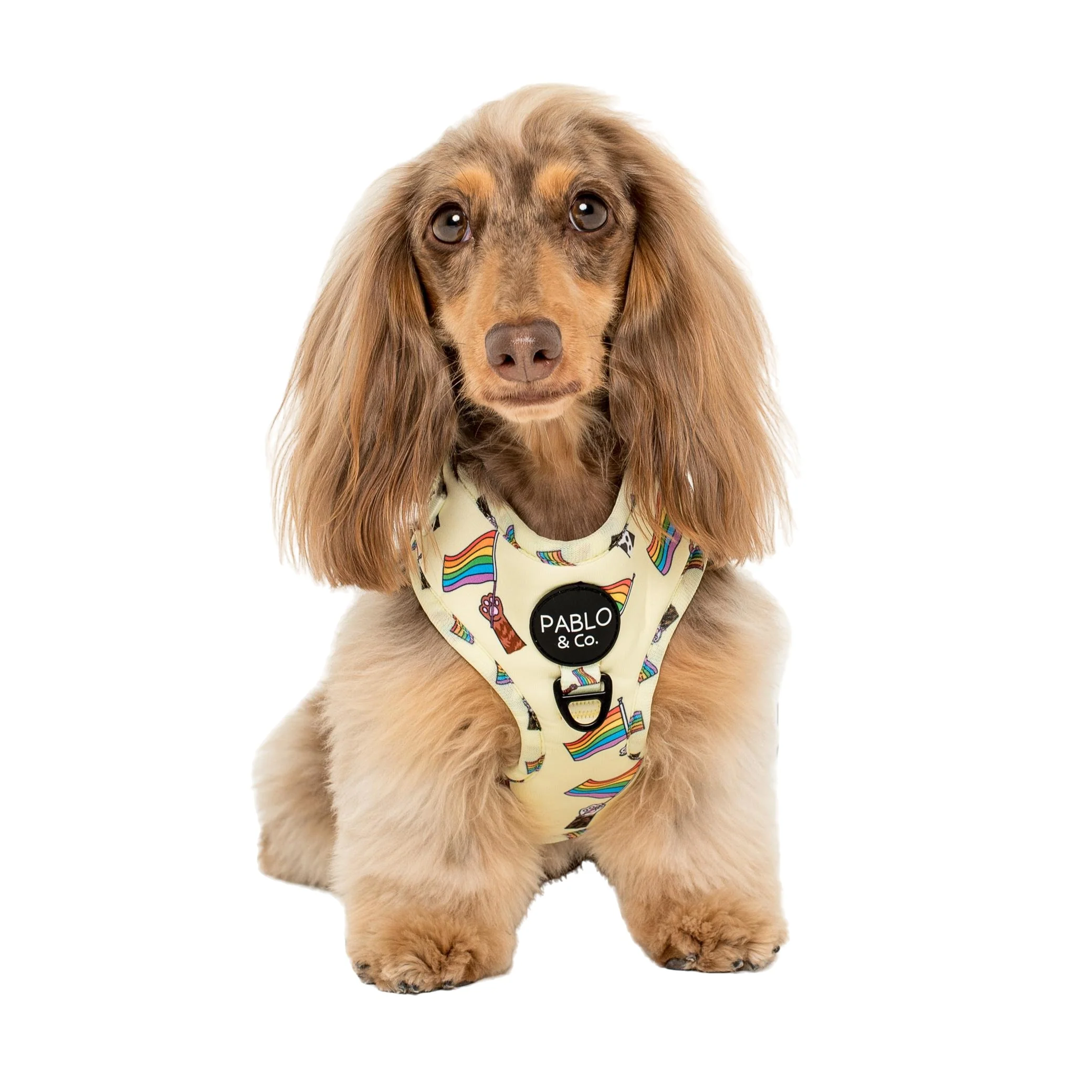 Love is Love: Adjustable Harness - Image 2