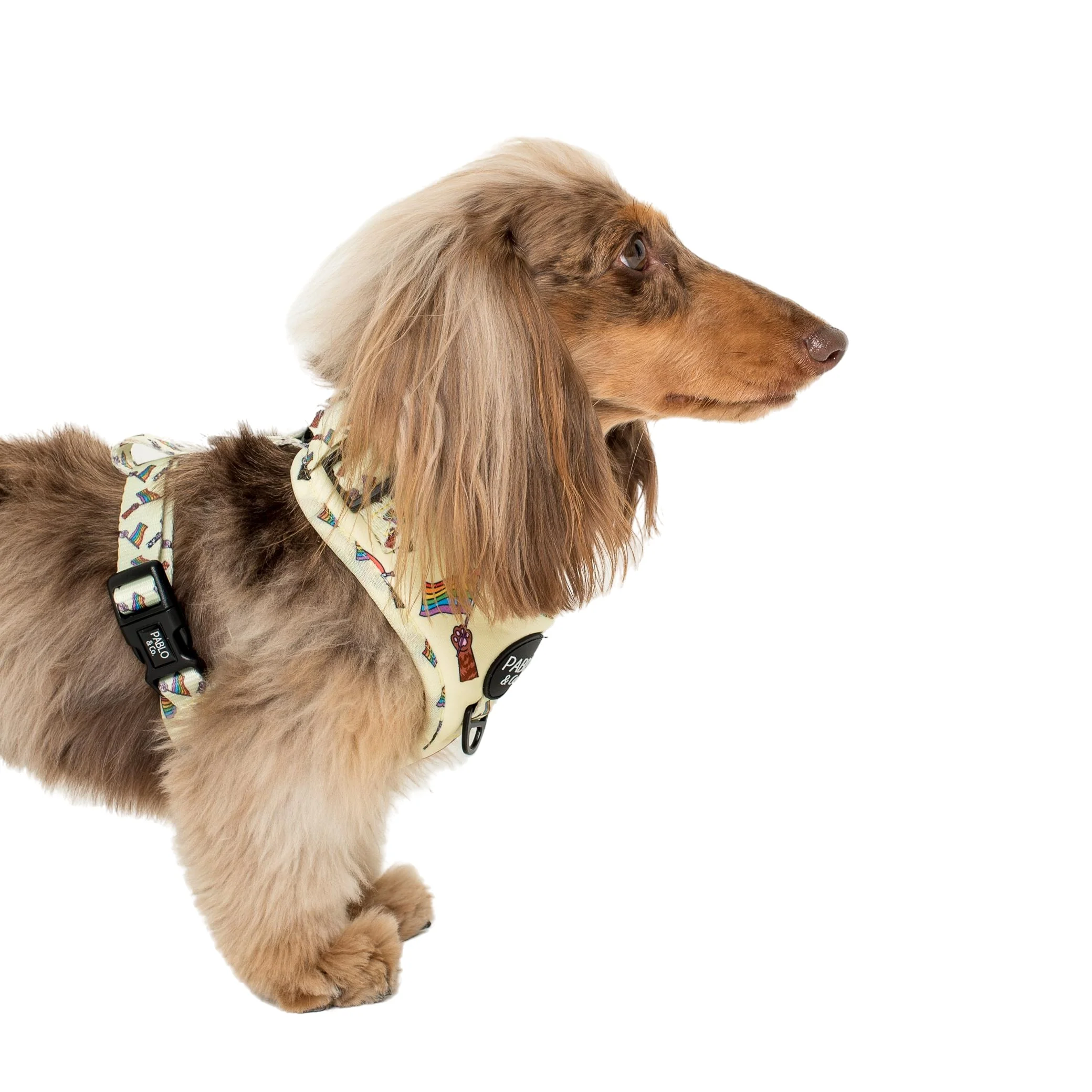 Love is Love: Adjustable Harness - Image 3