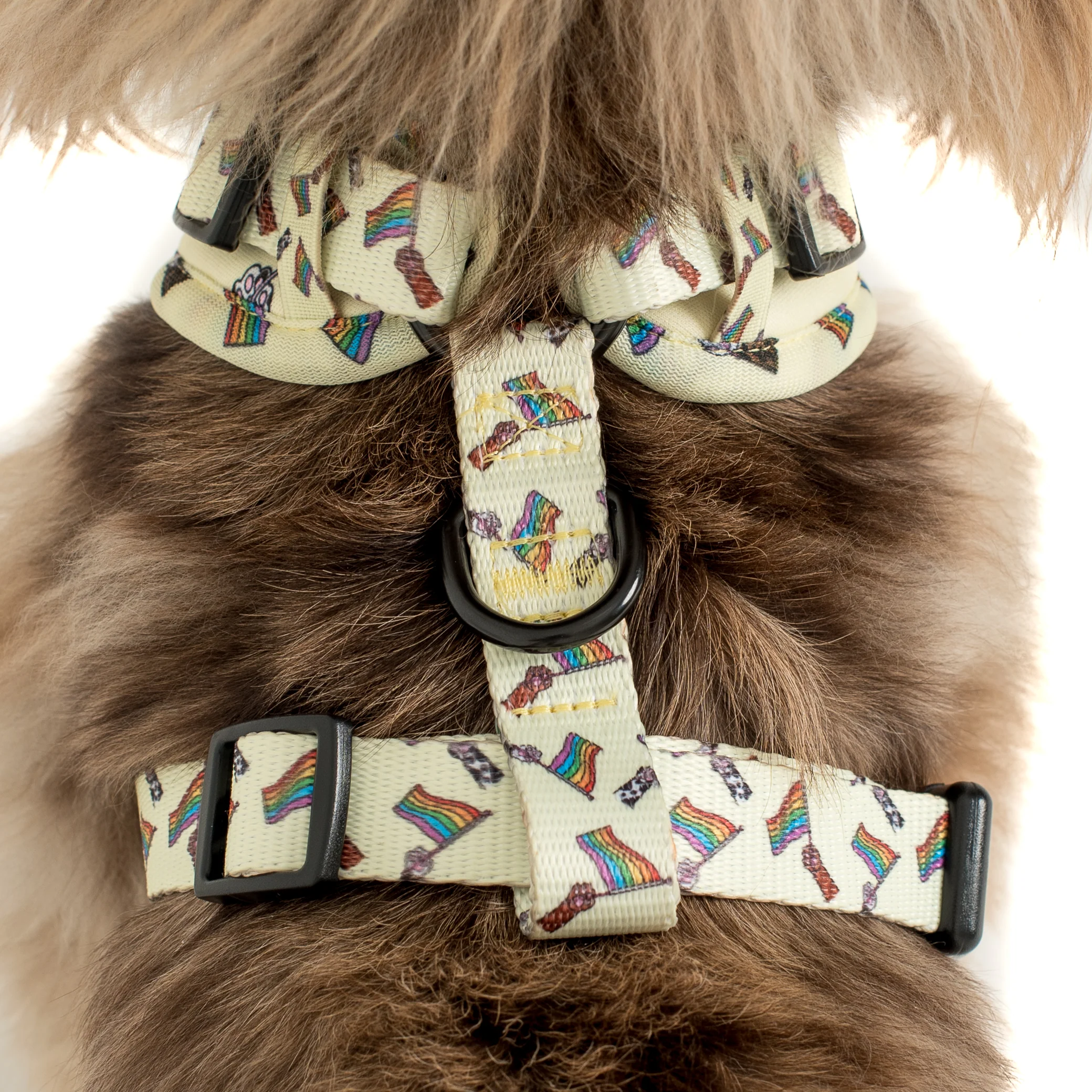 Love is Love: Adjustable Harness - Image 4