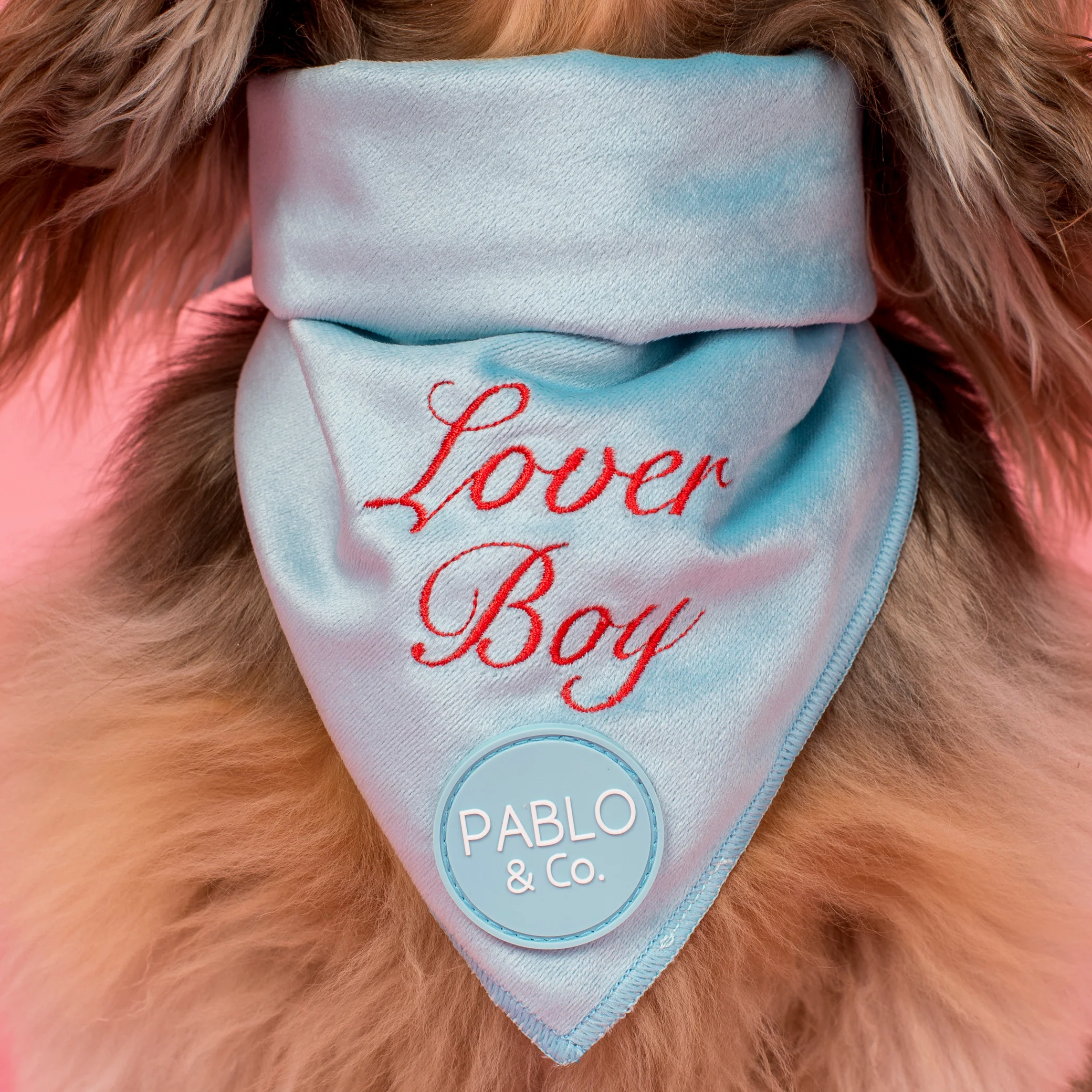 Lover Boy: Dog Bandana - Image 2