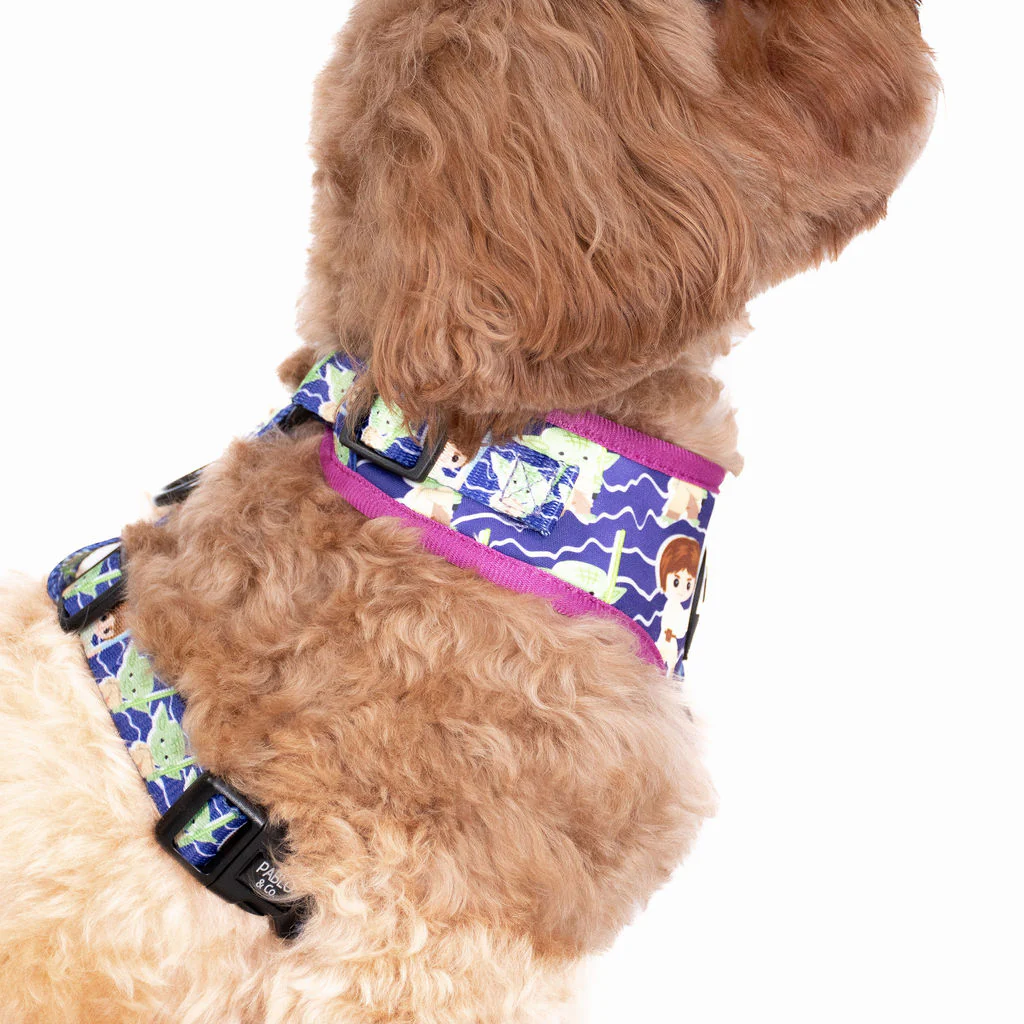Luke Skywalker & Yoda: Adjustable Harness - Image 3