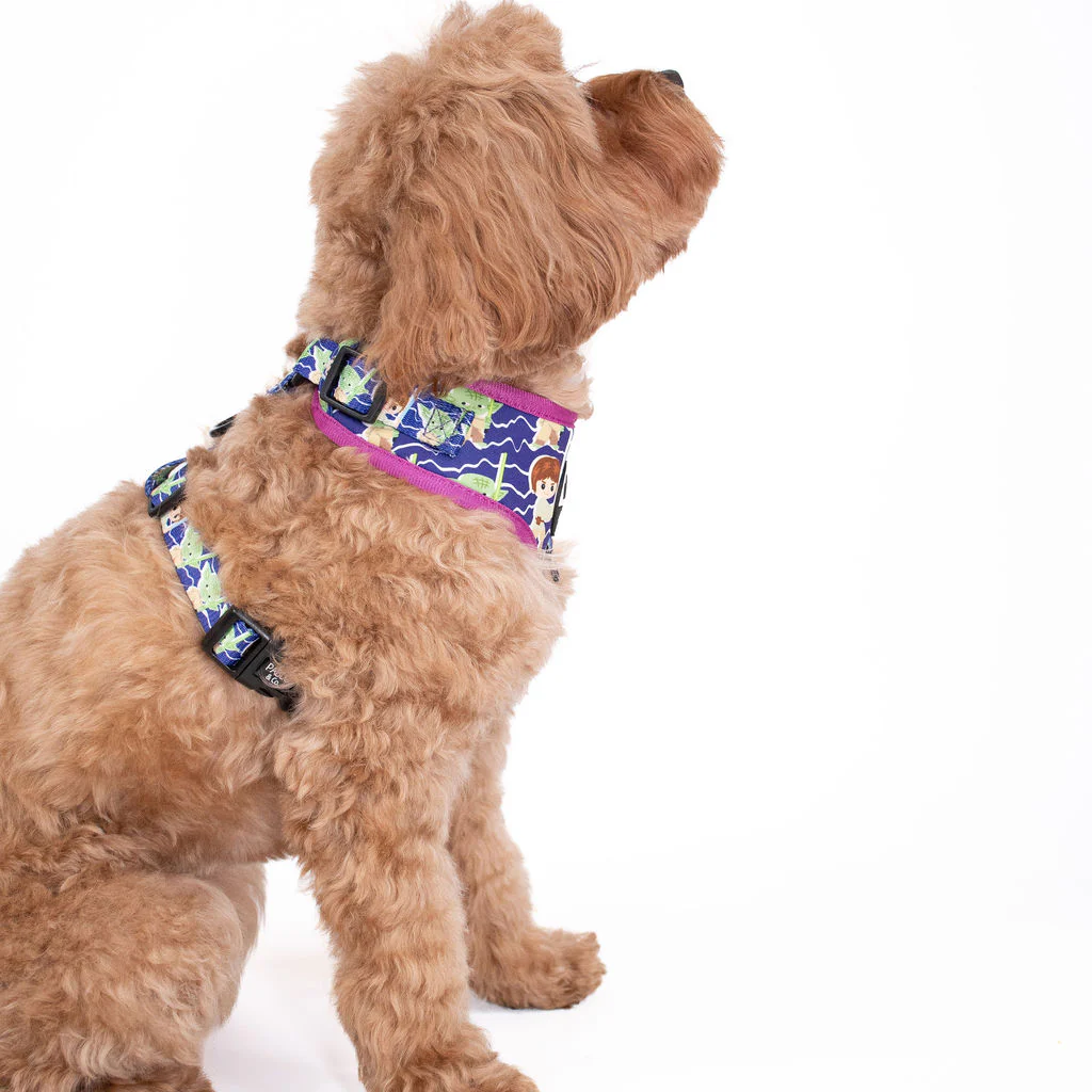 Luke Skywalker & Yoda: Adjustable Harness - Image 4