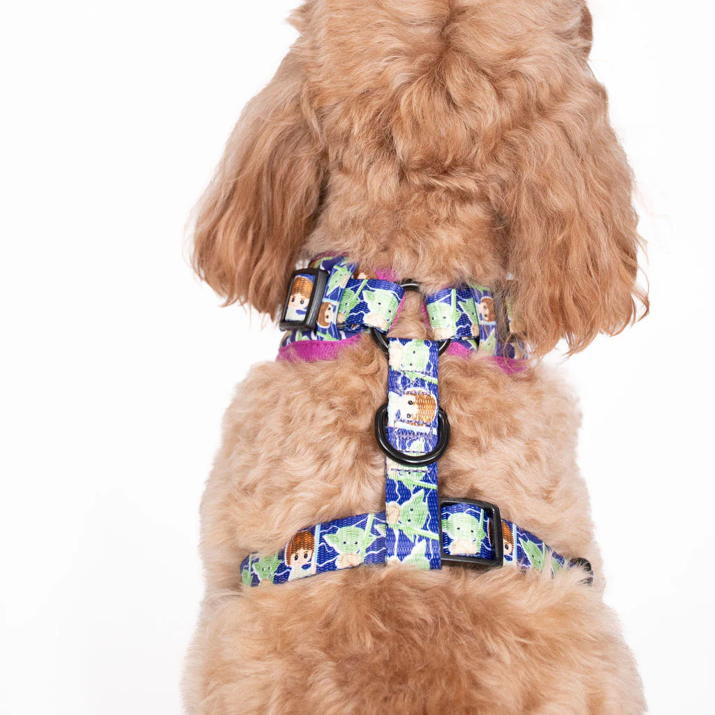 Luke Skywalker & Yoda: Adjustable Harness - Image 5
