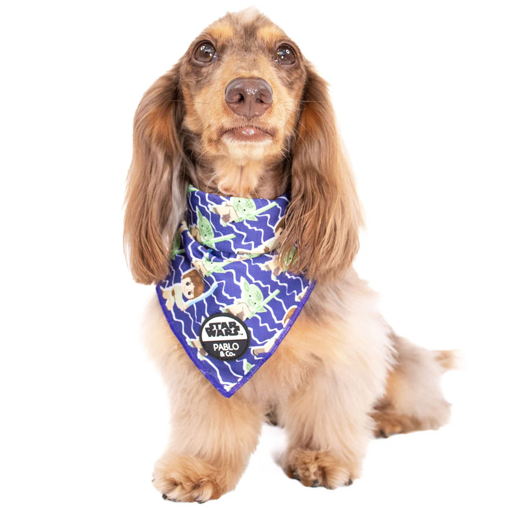 Luke Skywalker & Yoda: Dog Bandana