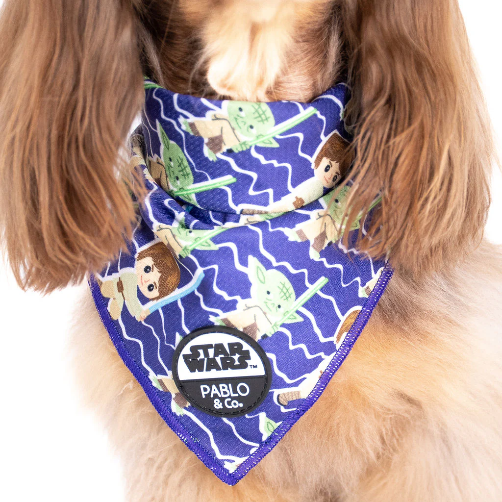 Luke Skywalker & Yoda: Dog Bandana - Image 2