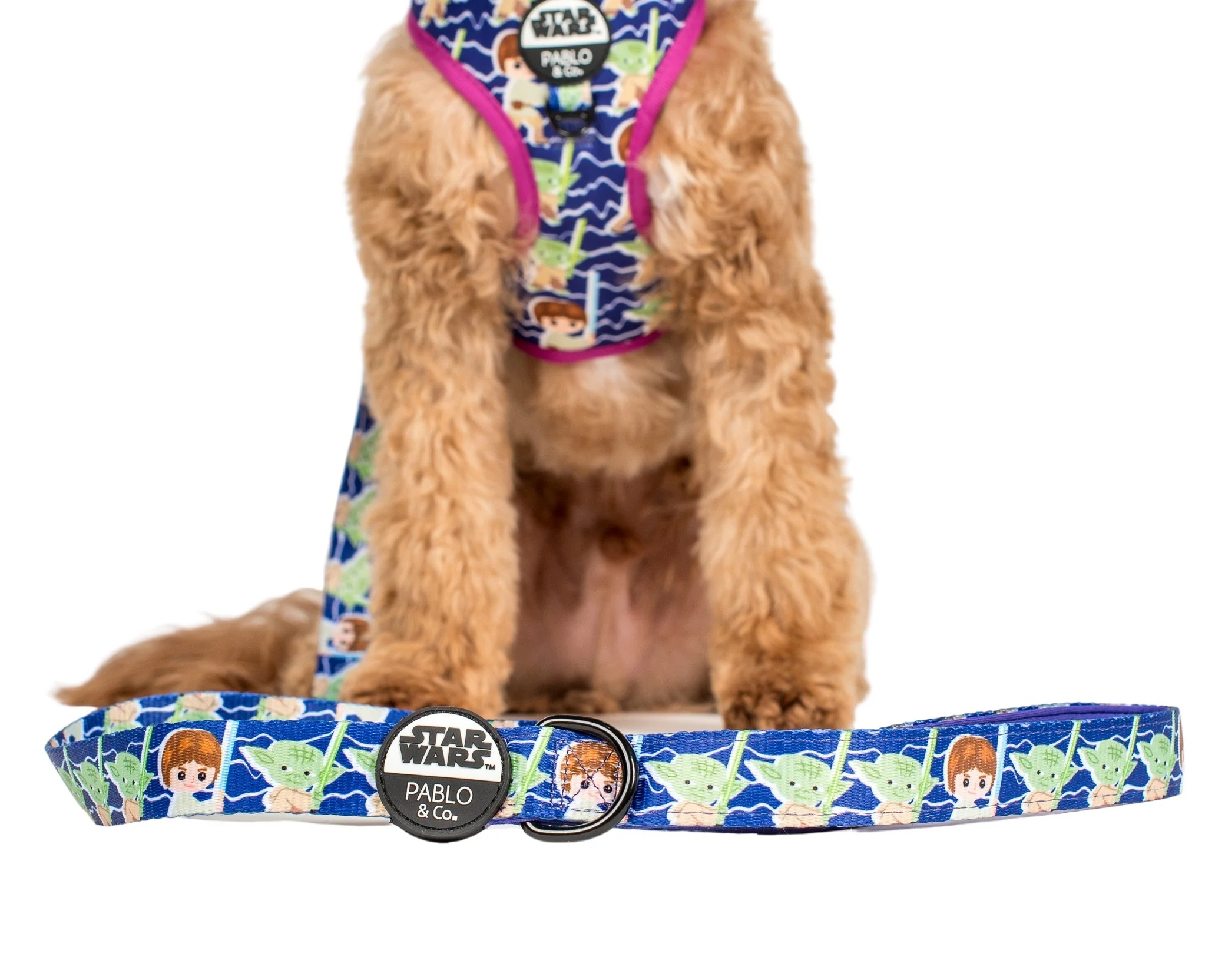 Luke Skywalker & Yoda: Dog Leash