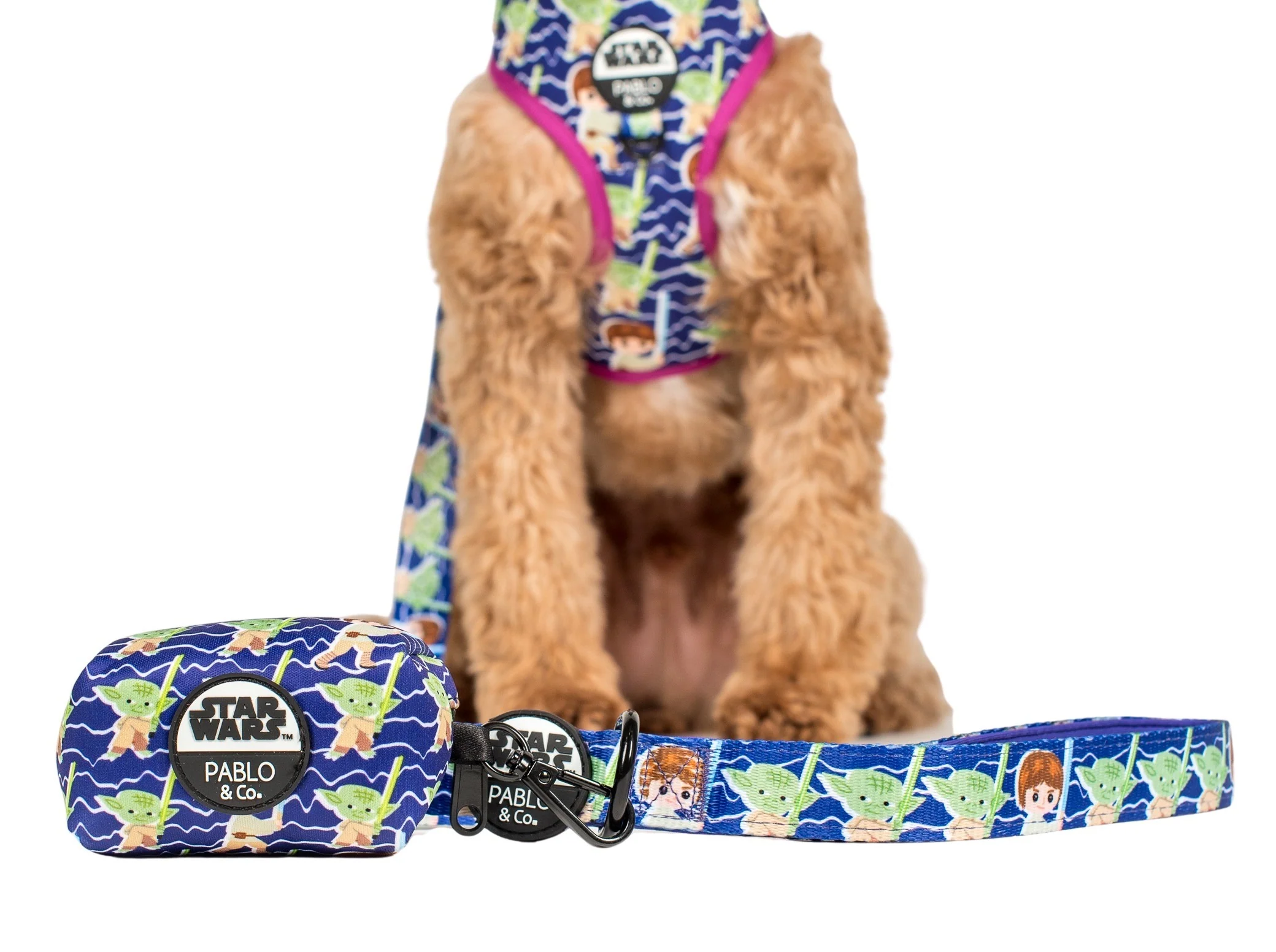 Luke Skywalker & Yoda: Treat Bag