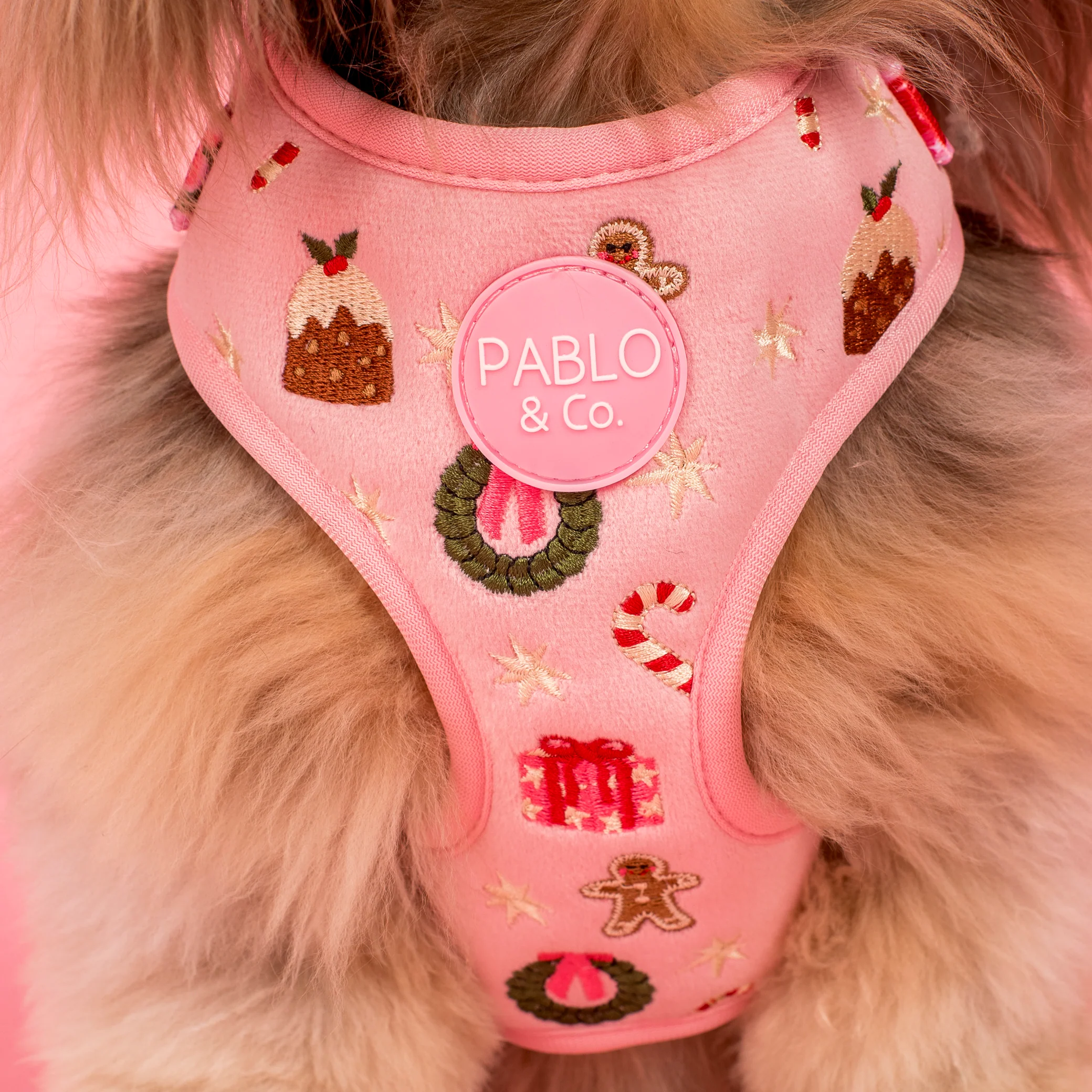 Merry & Bright: Adjustable Harness - Image 2