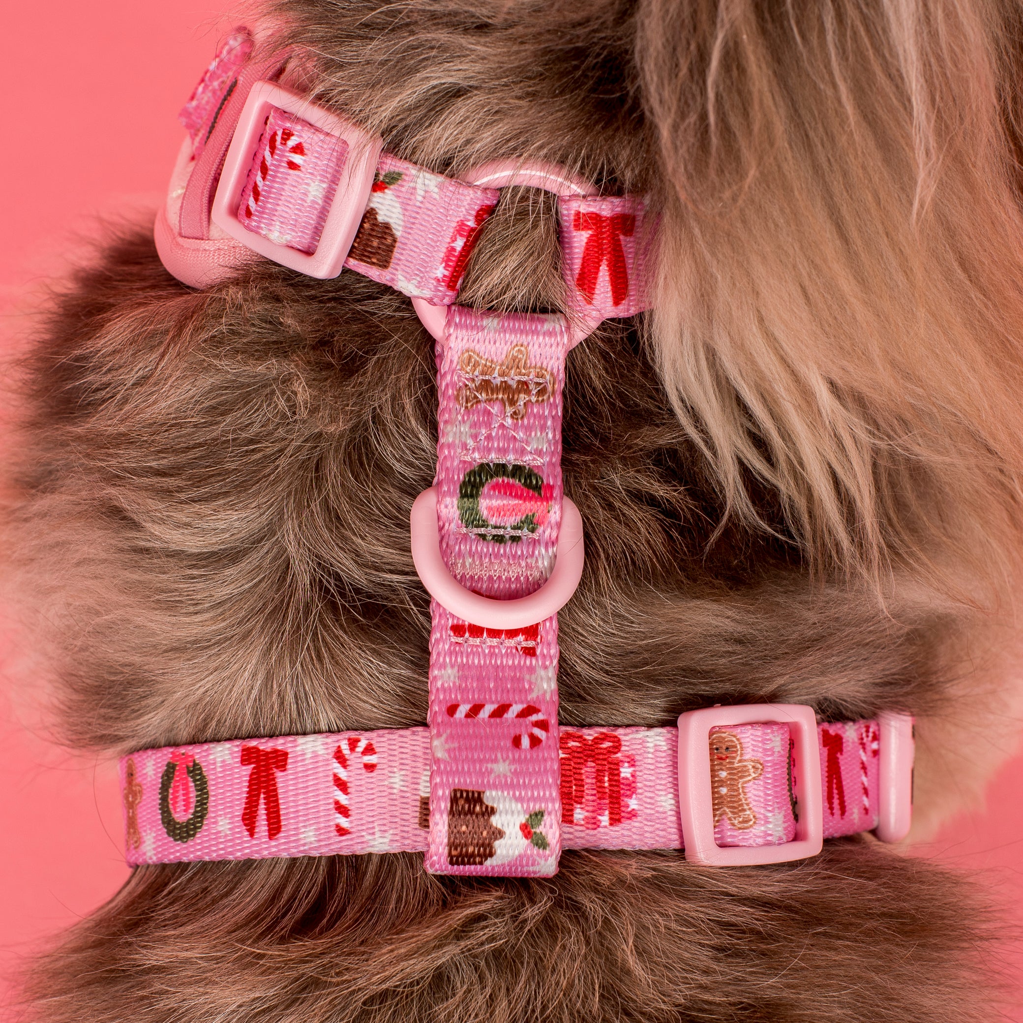 Merry & Bright: Adjustable Harness - Image 3
