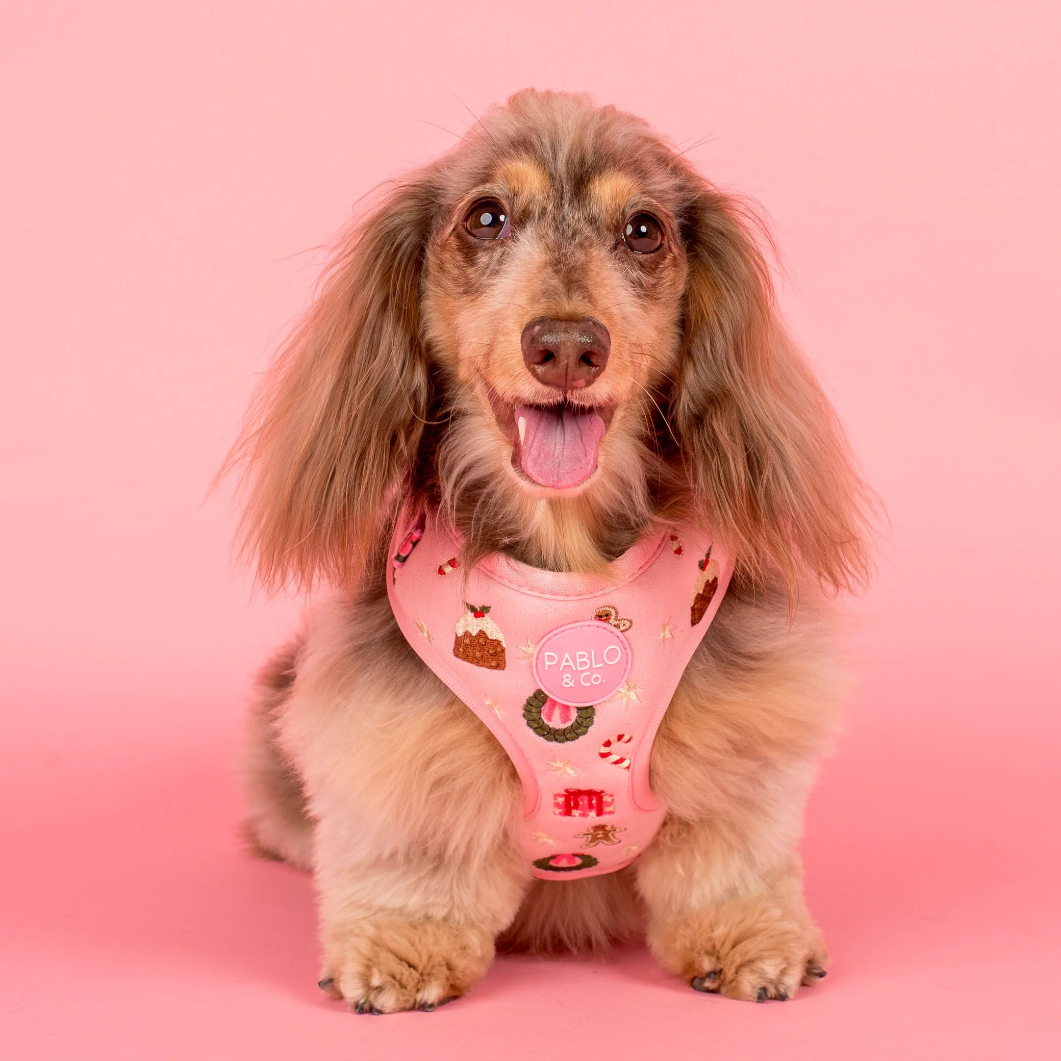Merry & Bright: Adjustable Harness - Image 6