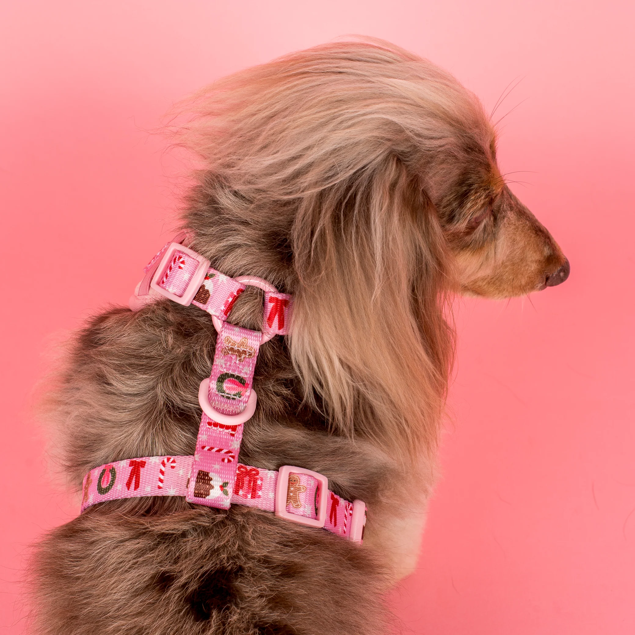 Merry & Bright: Adjustable Harness - Image 7