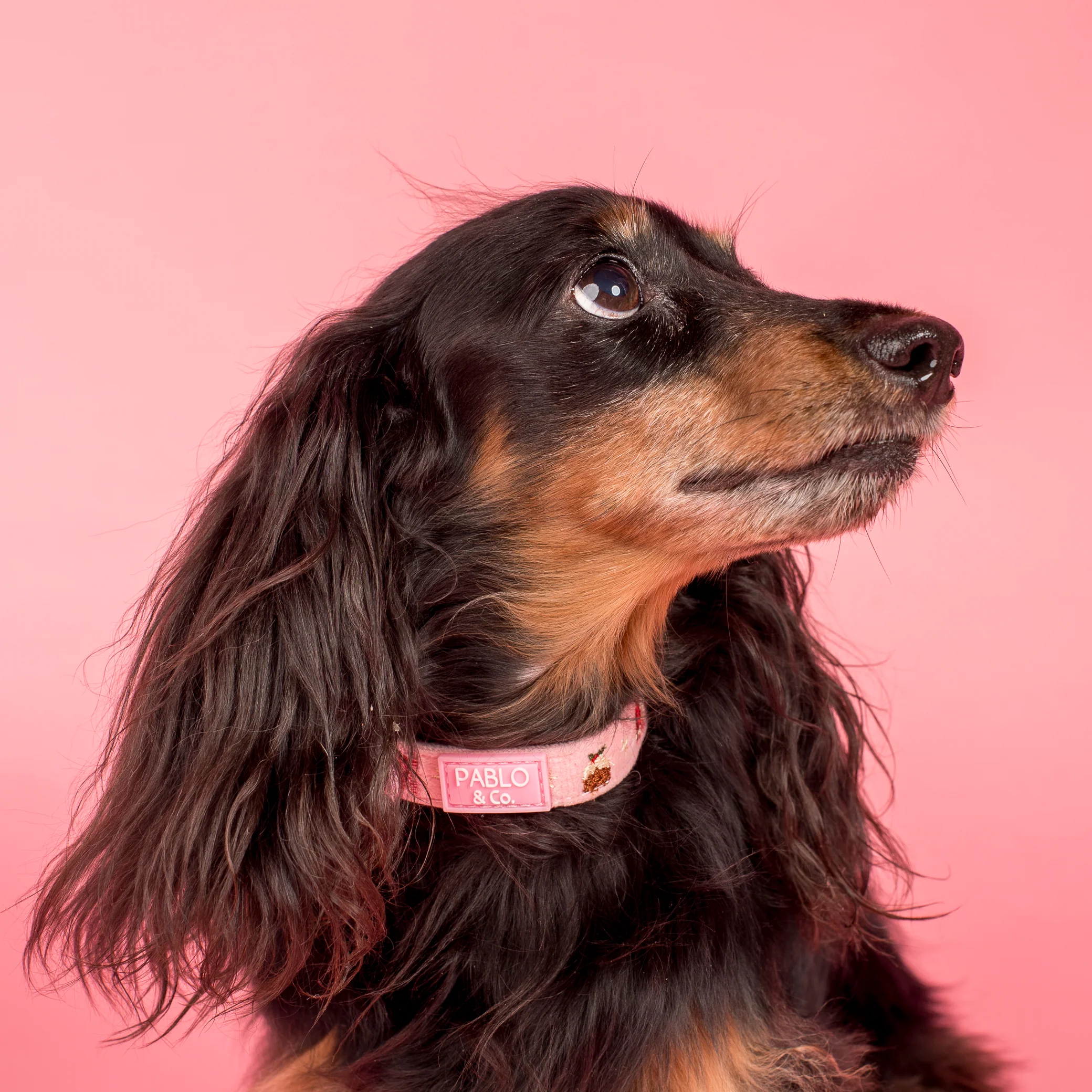 Merry & Bright: Collar - Image 3