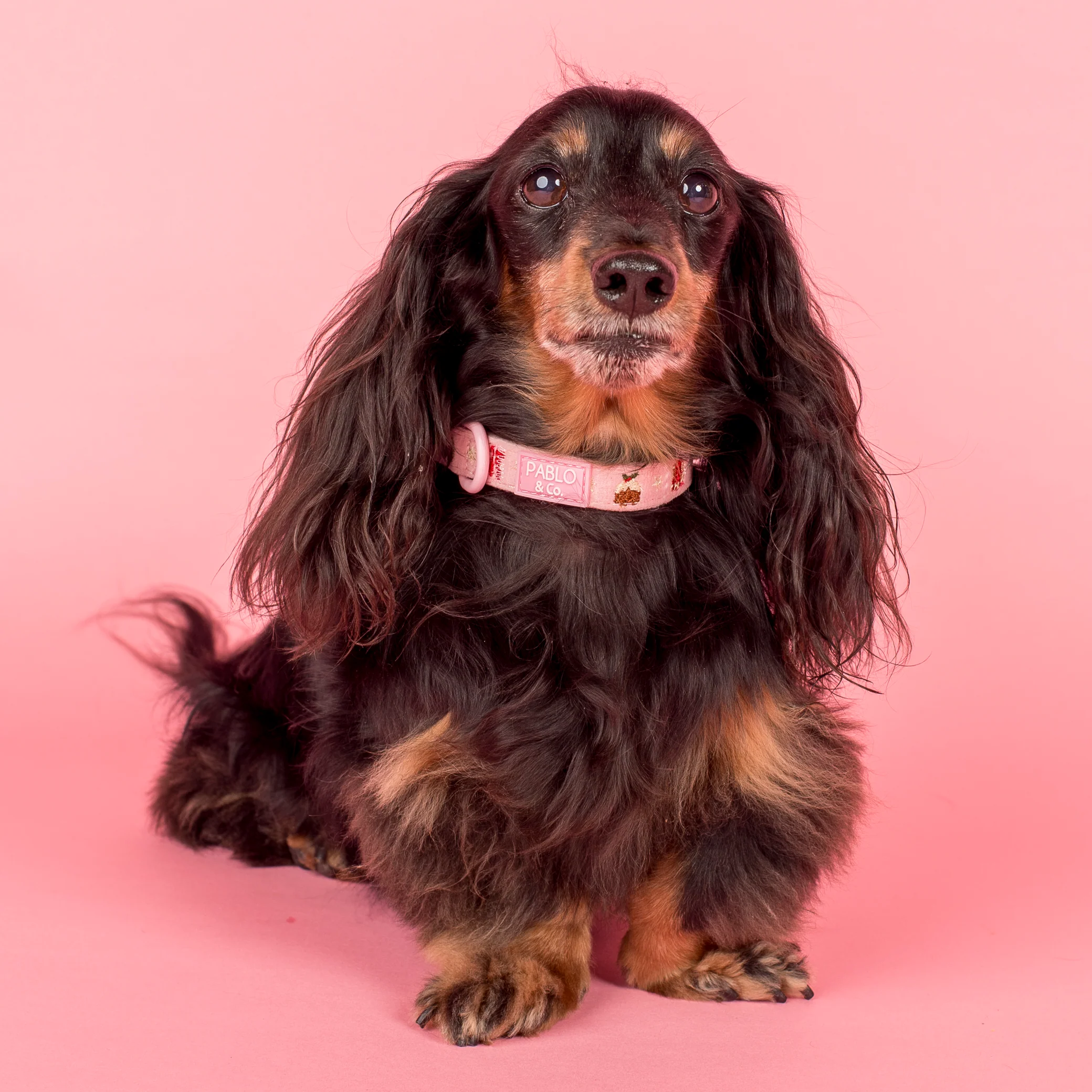Merry & Bright: Collar - Image 4