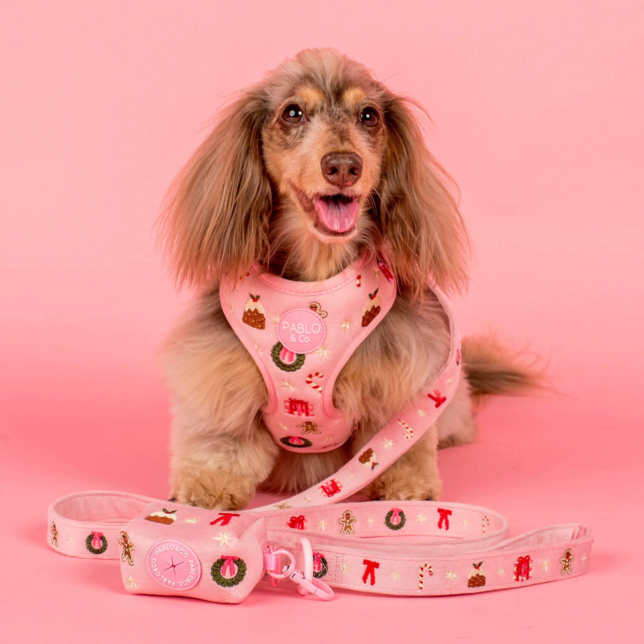 Merry & Bright: Poop Bag Holder - Image 2
