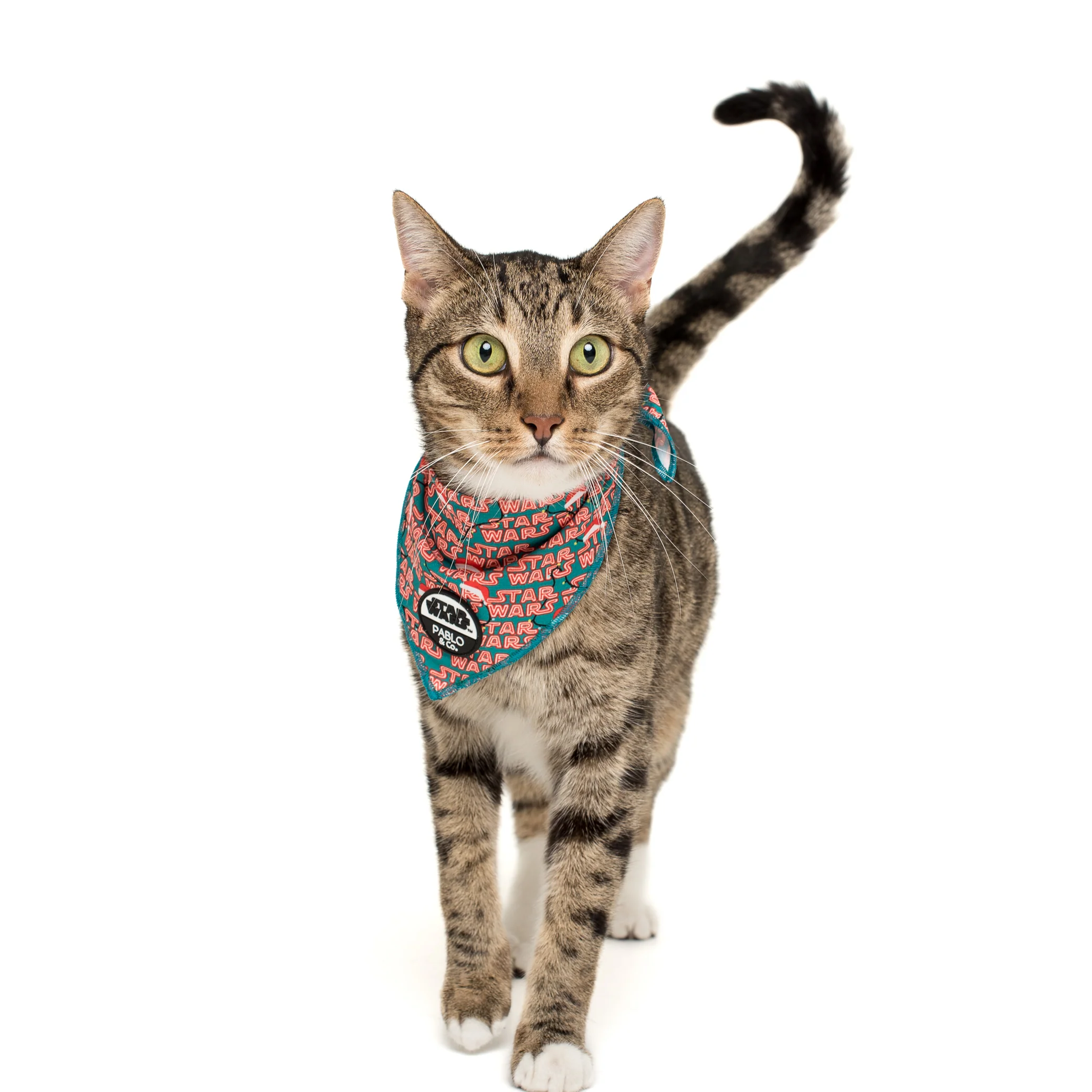 Merry Forcemas: Cat Bandana