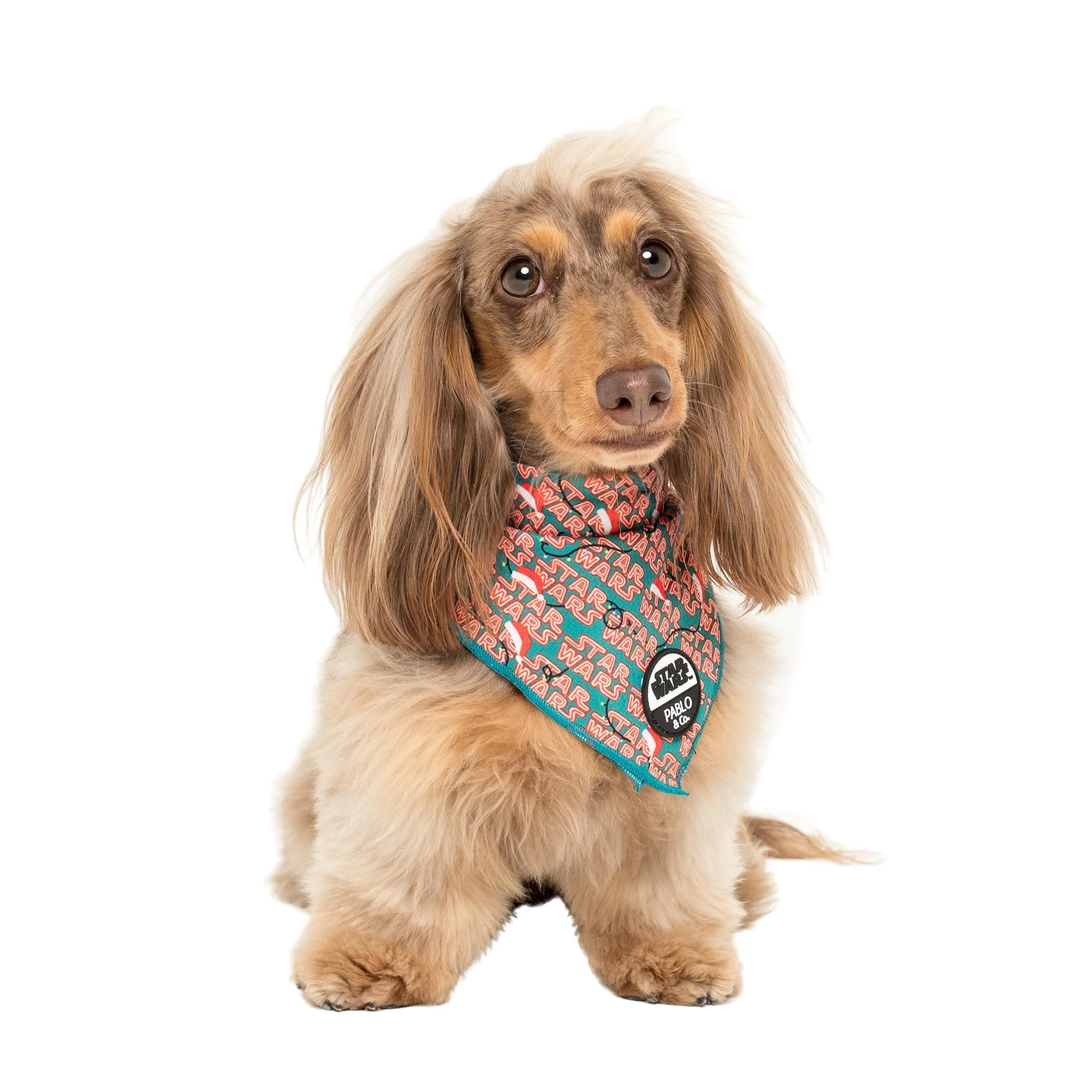 Merry Forcemas: Dog Bandana